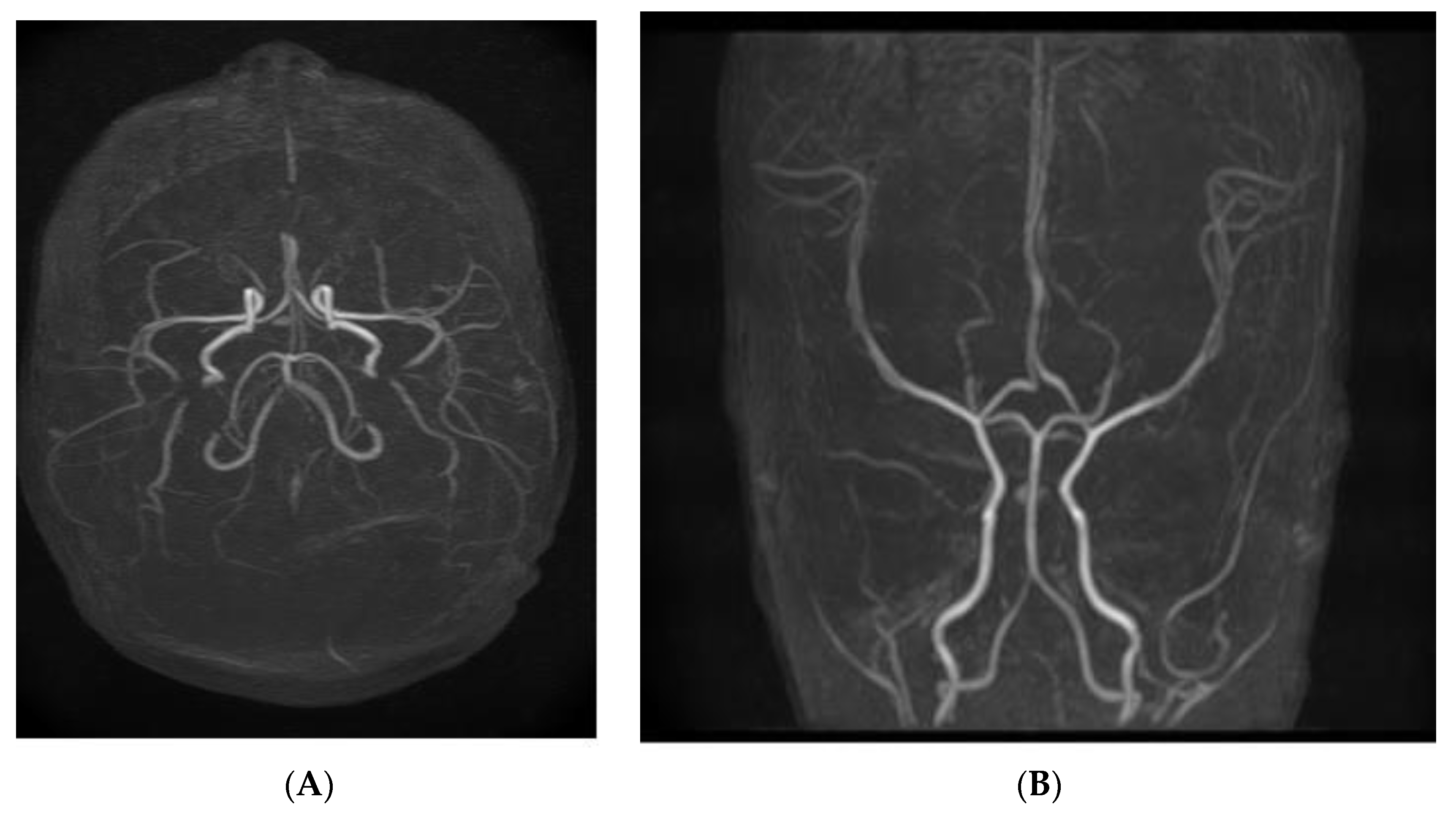 Children 10 00958 g003