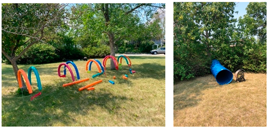 Children 10 01049 i004 Children 10 01049 i004