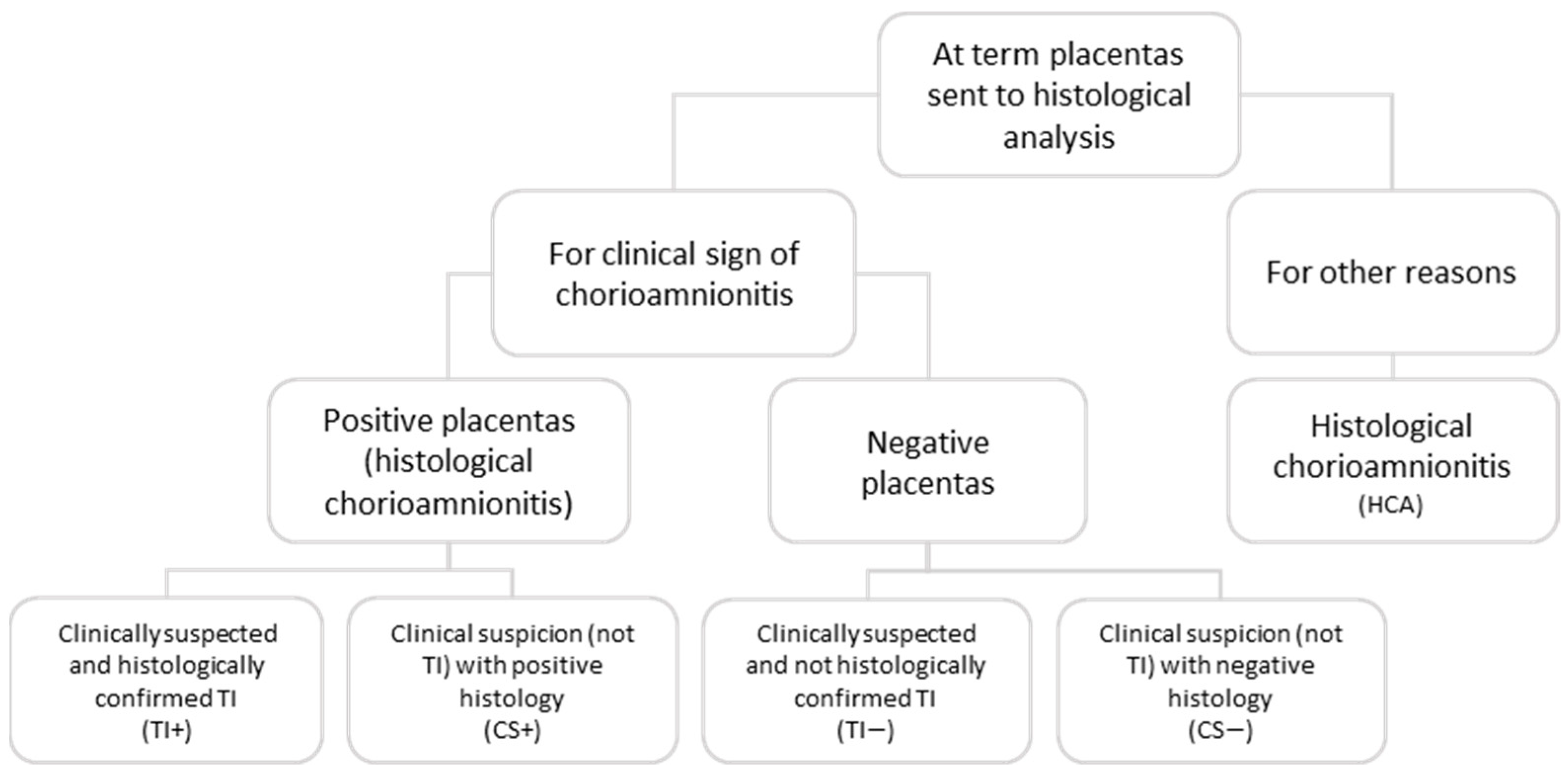 Children 10 01110 g001 Children 10 01110 g001