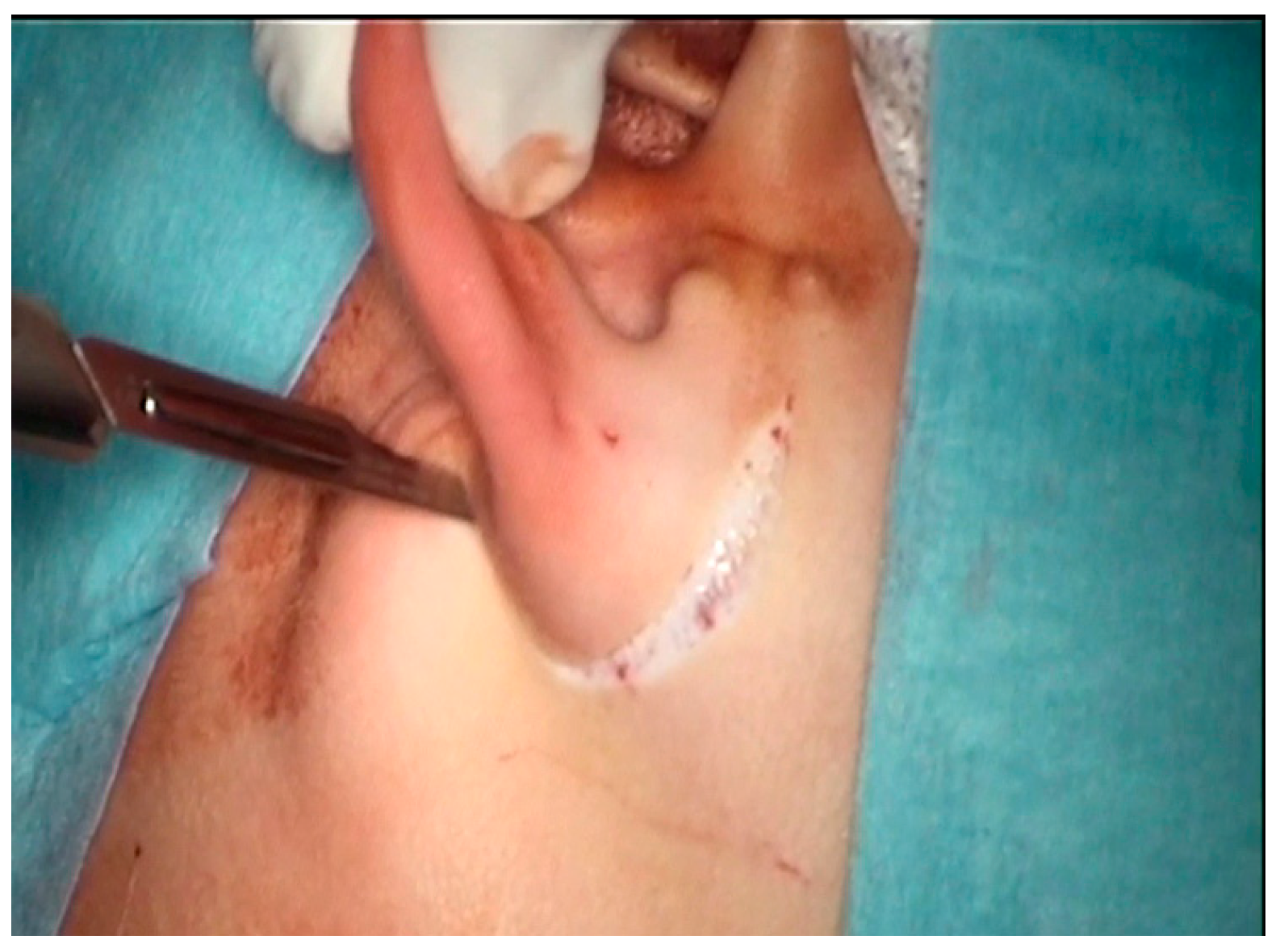 Children 10 01158 g002 Children 10 01158 g002