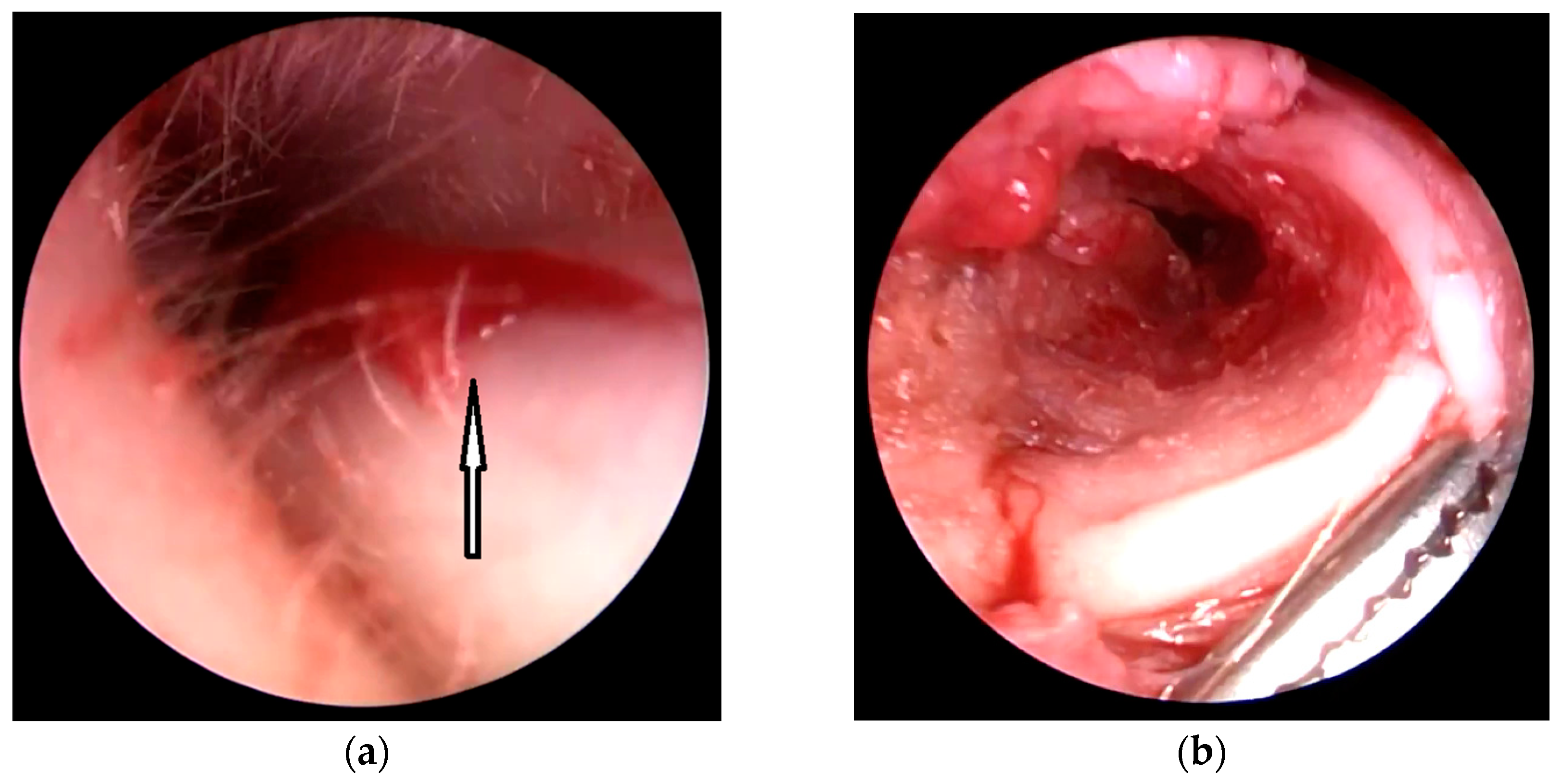 Children 10 01158 g004 Children 10 01158 g004