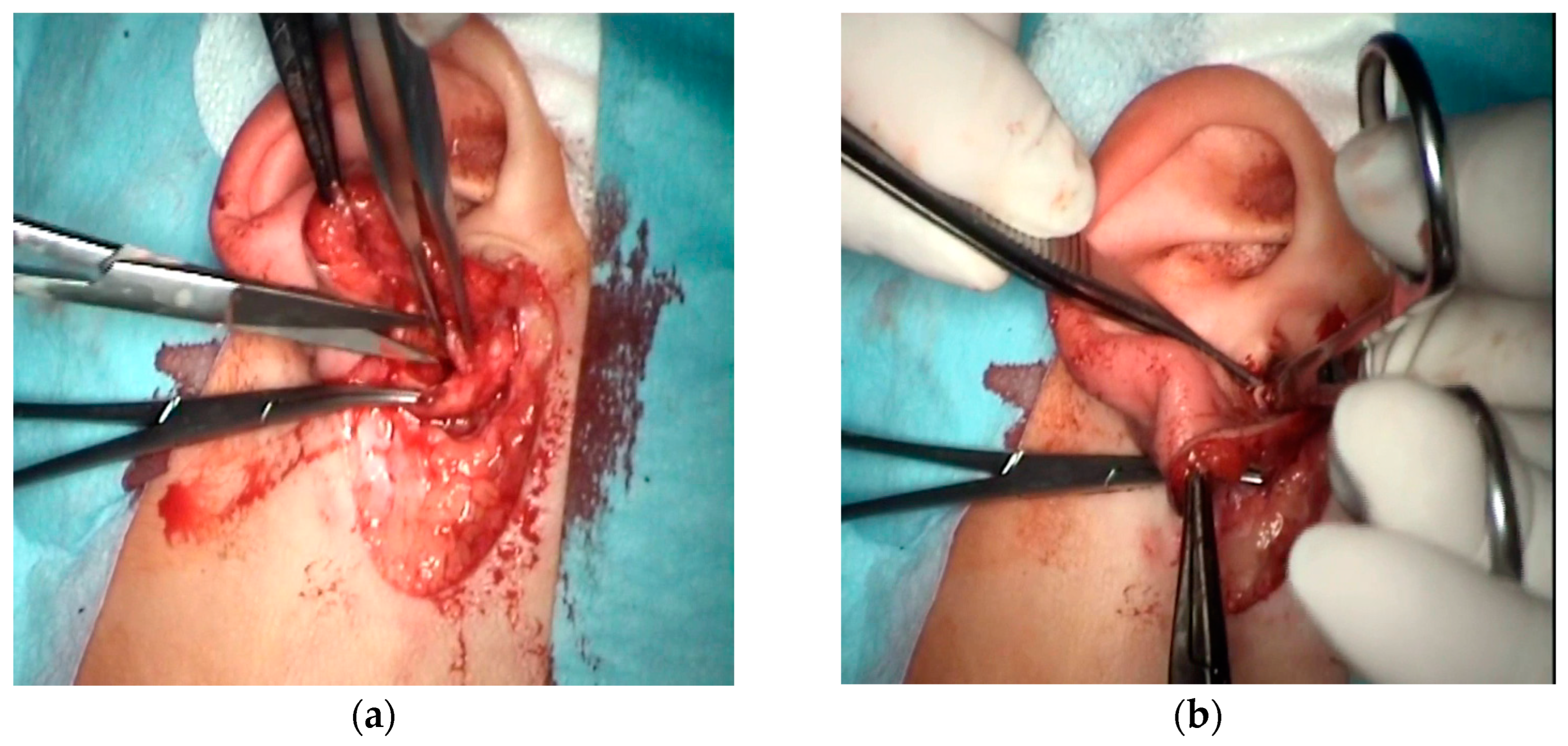 Children 10 01158 g005 Children 10 01158 g005