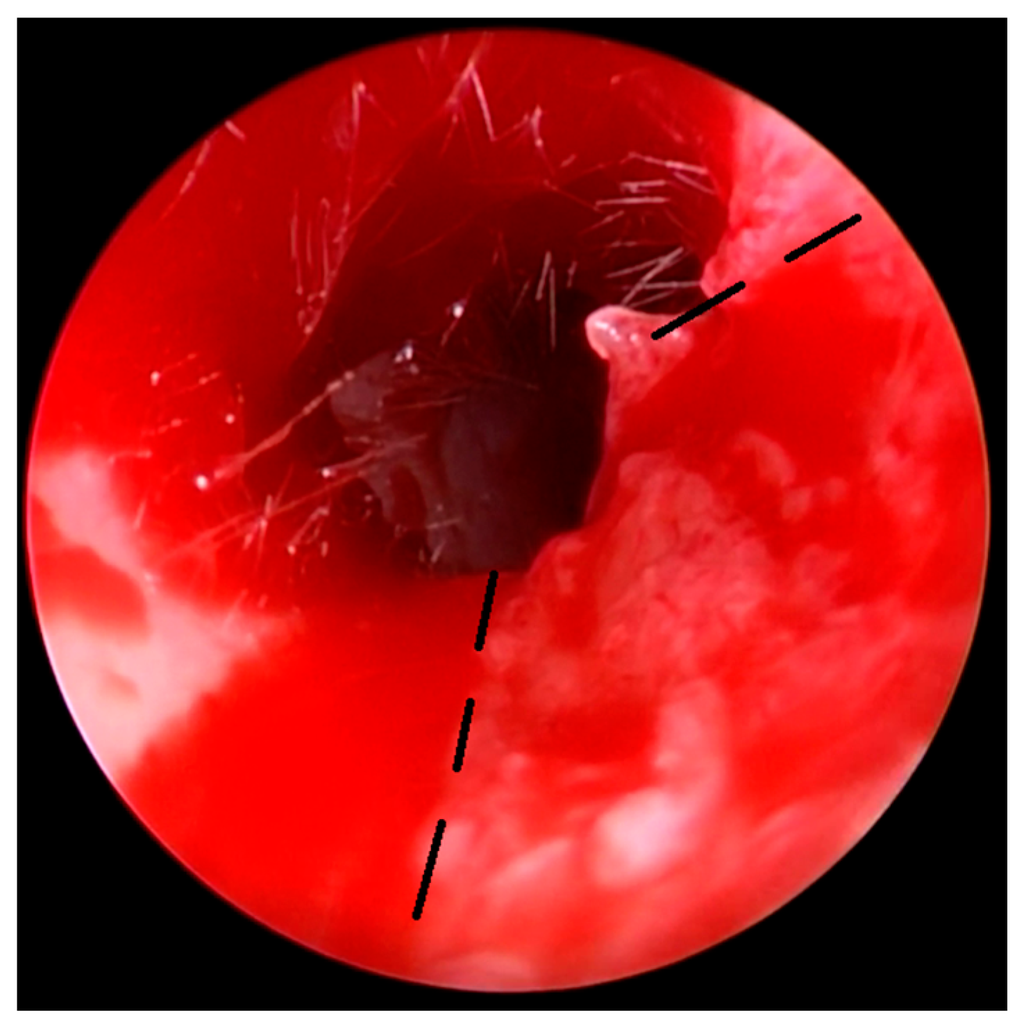 Children 10 01158 g006 Children 10 01158 g006