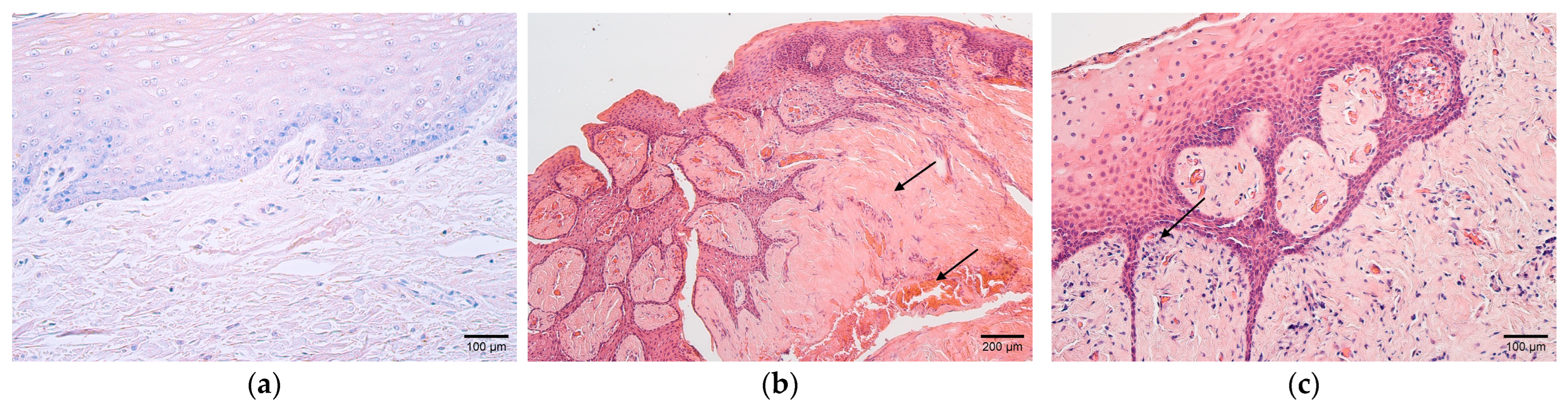 Children 10 01162 g001