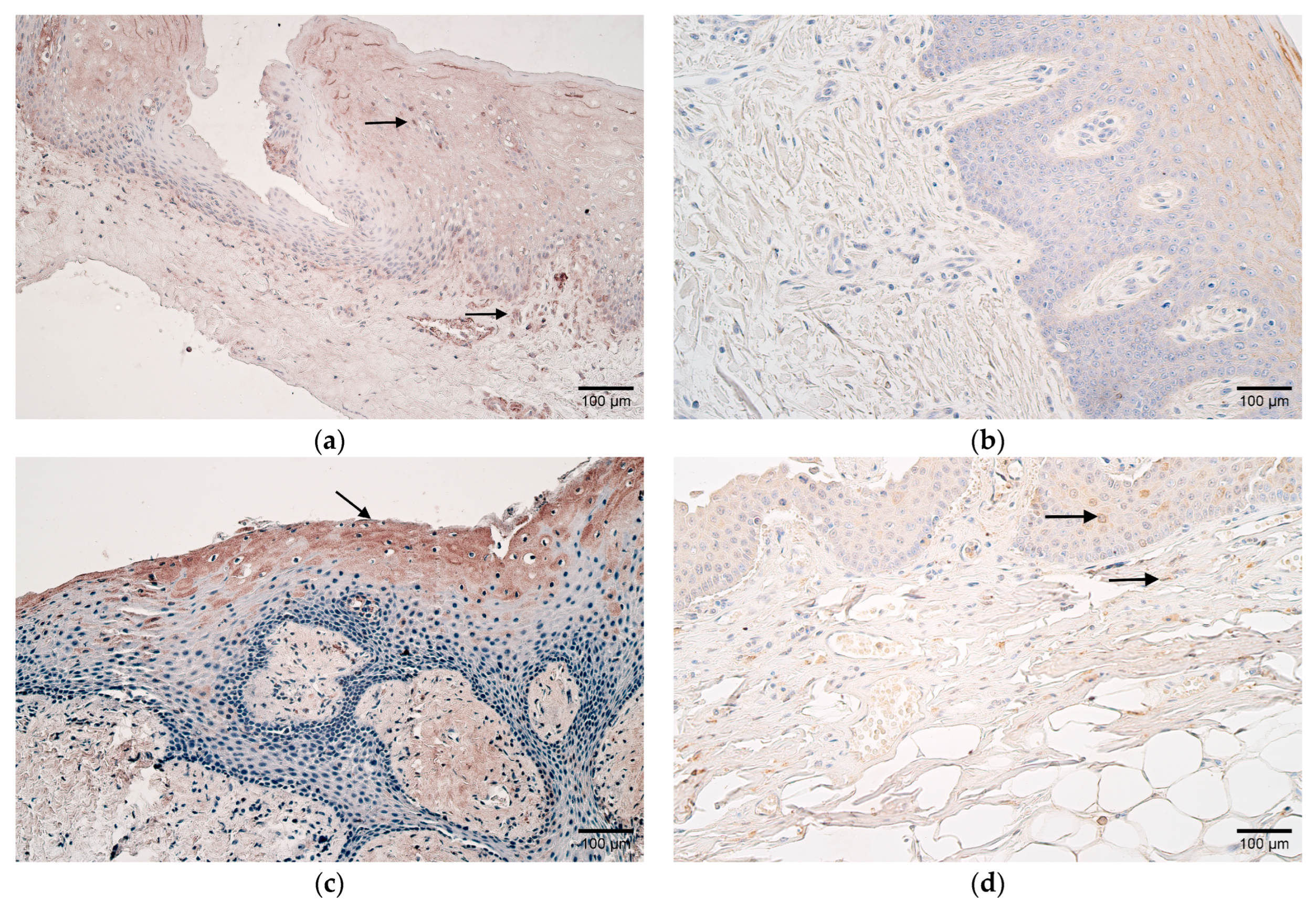 Children 10 01162 g002a