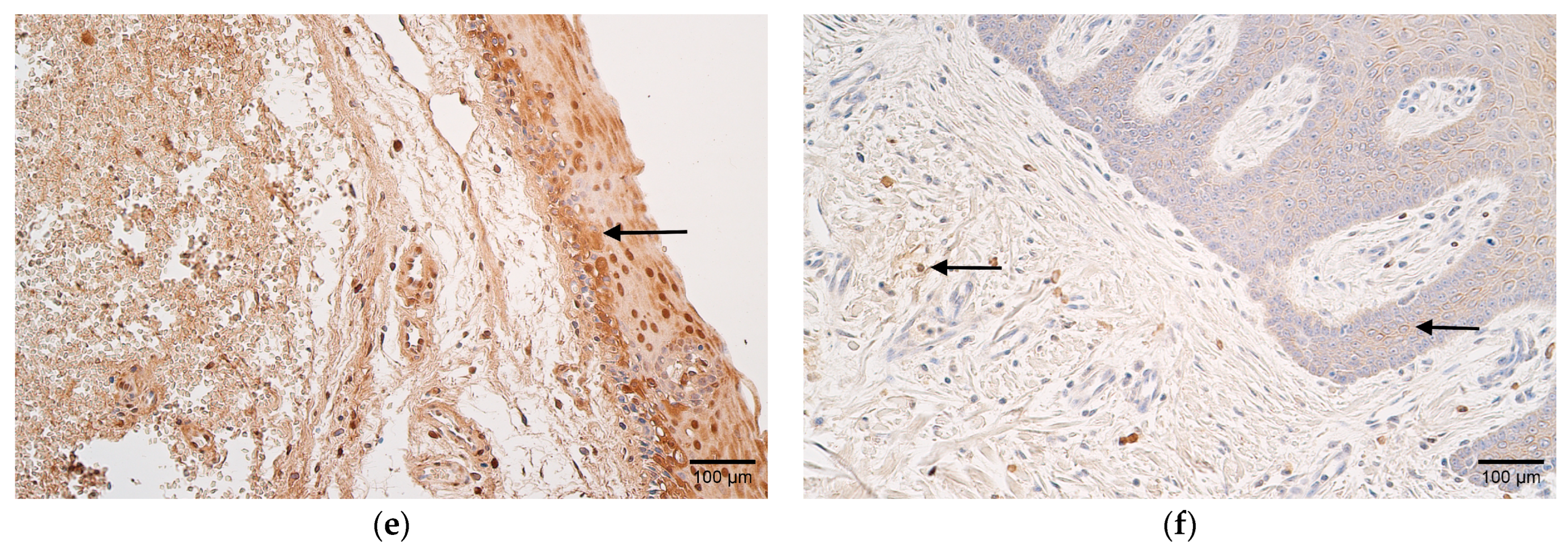 Children 10 01162 g002b