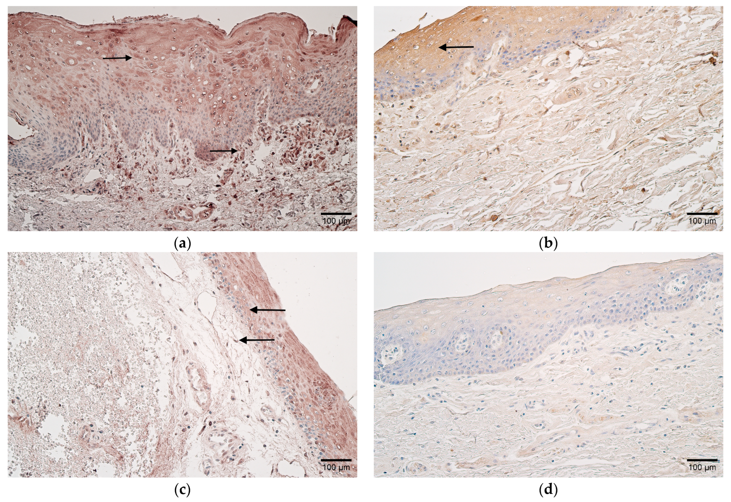 Children 10 01162 g003