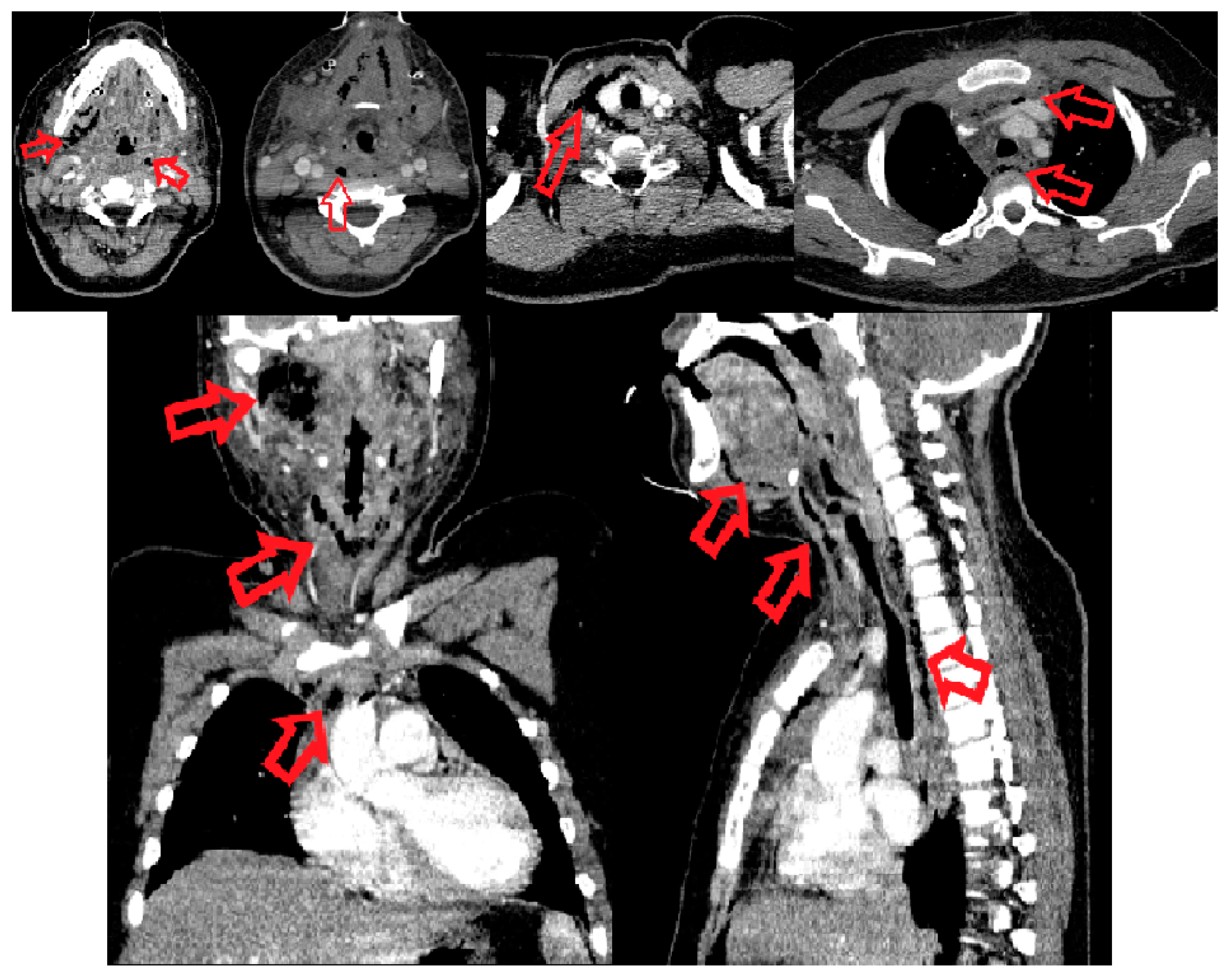 Children 10 01262 g001