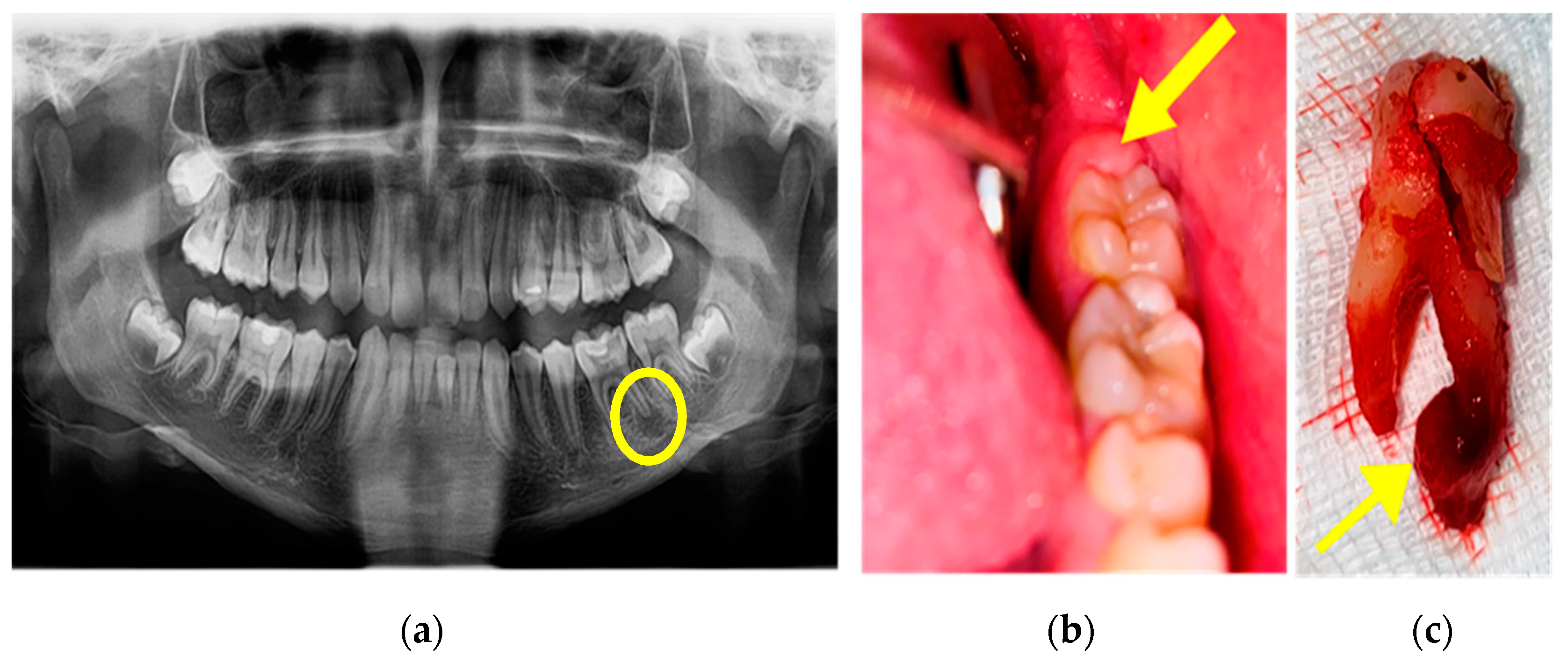 Children 10 01262 g008