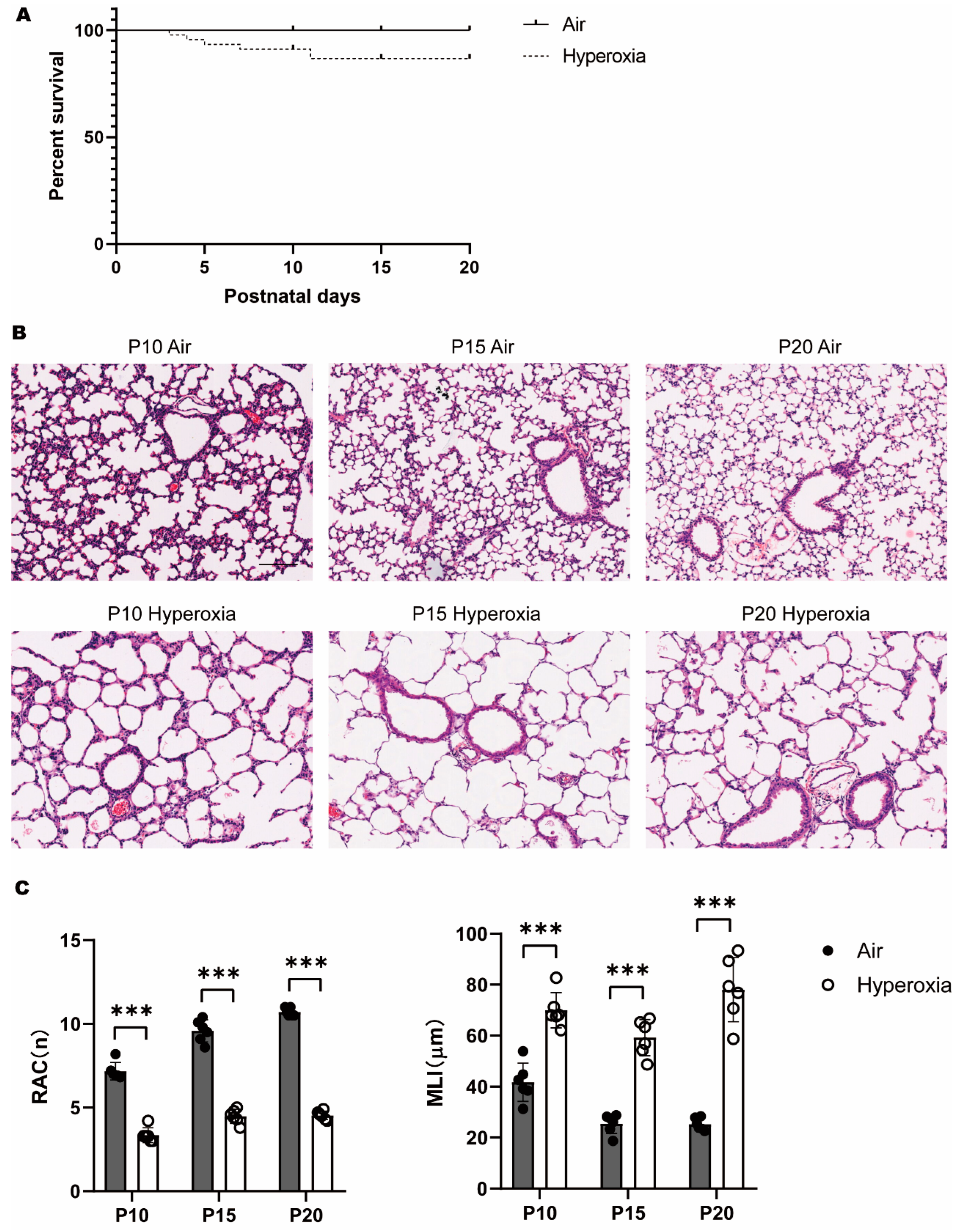 Children 10 01321 g001