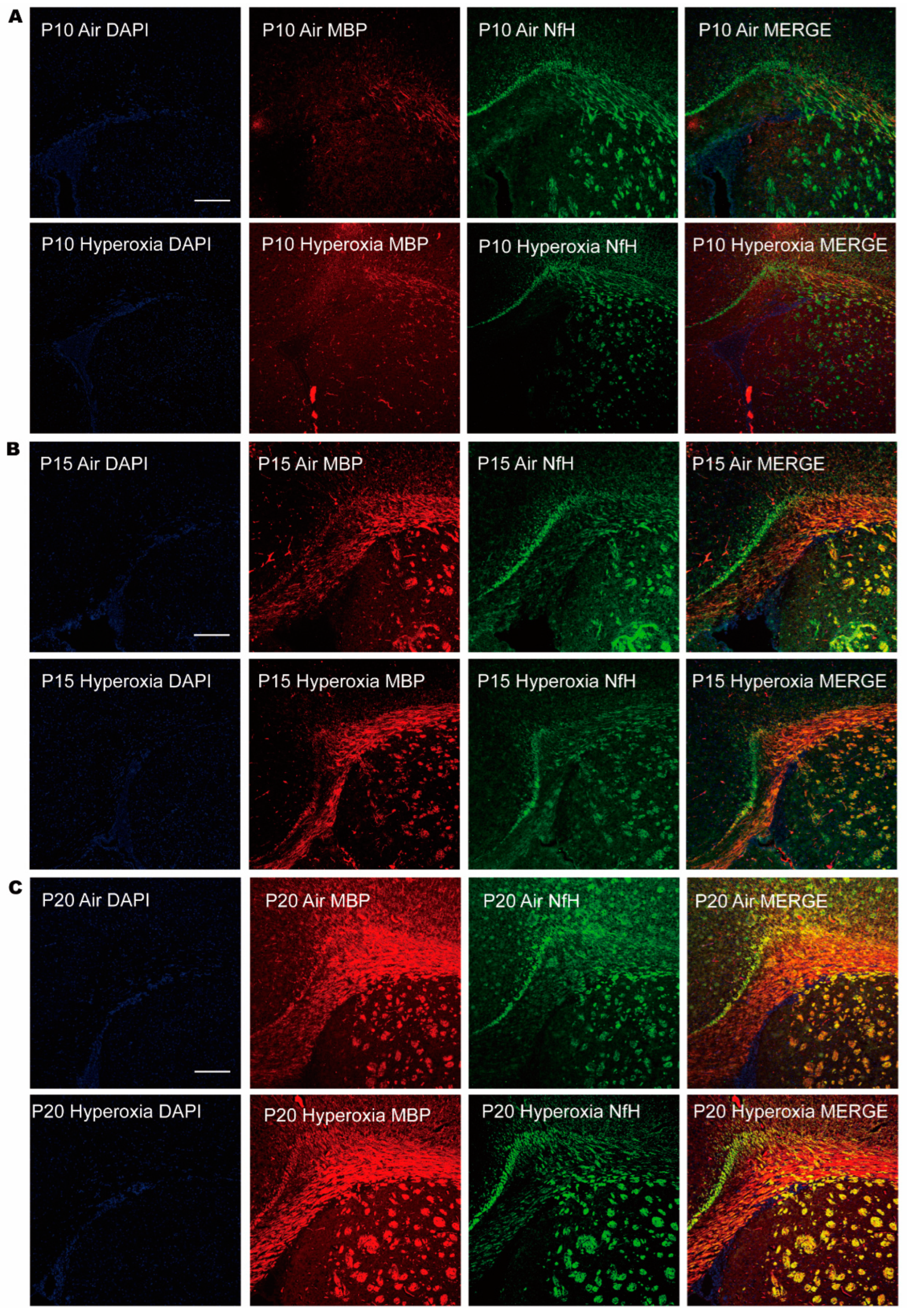 Children 10 01321 g003