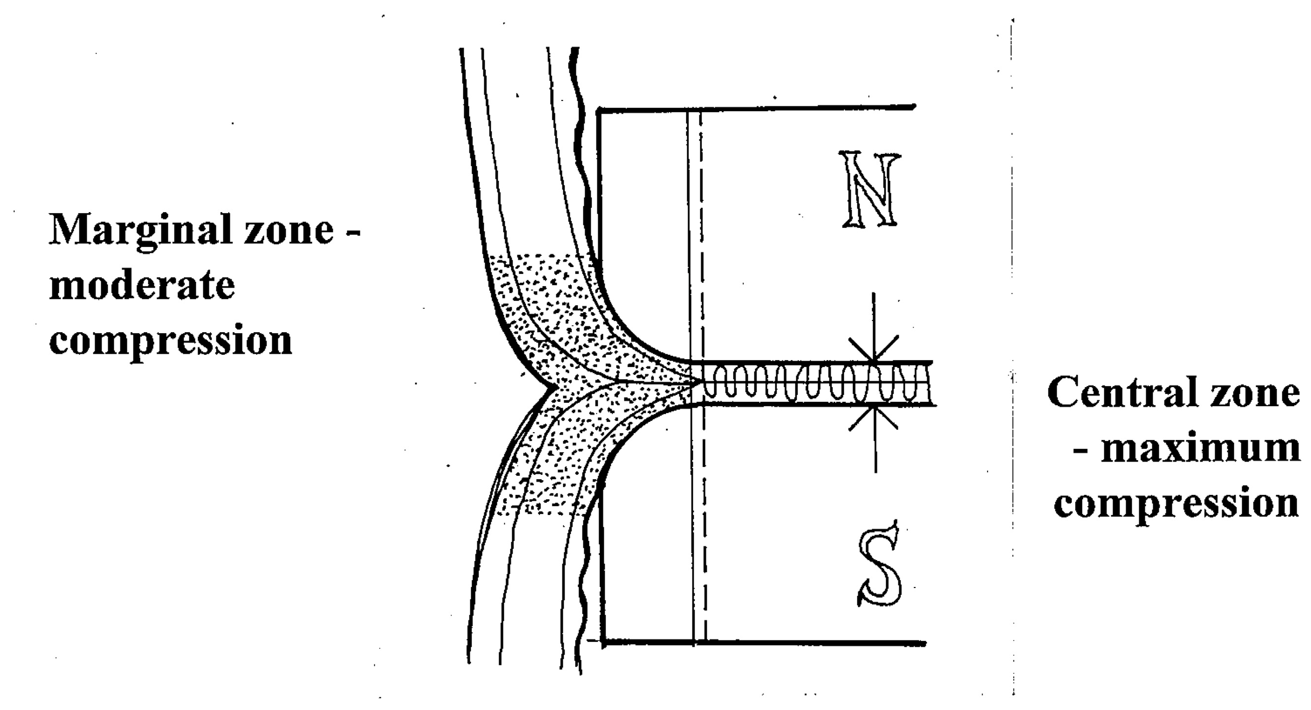 Children 10 01328 g002