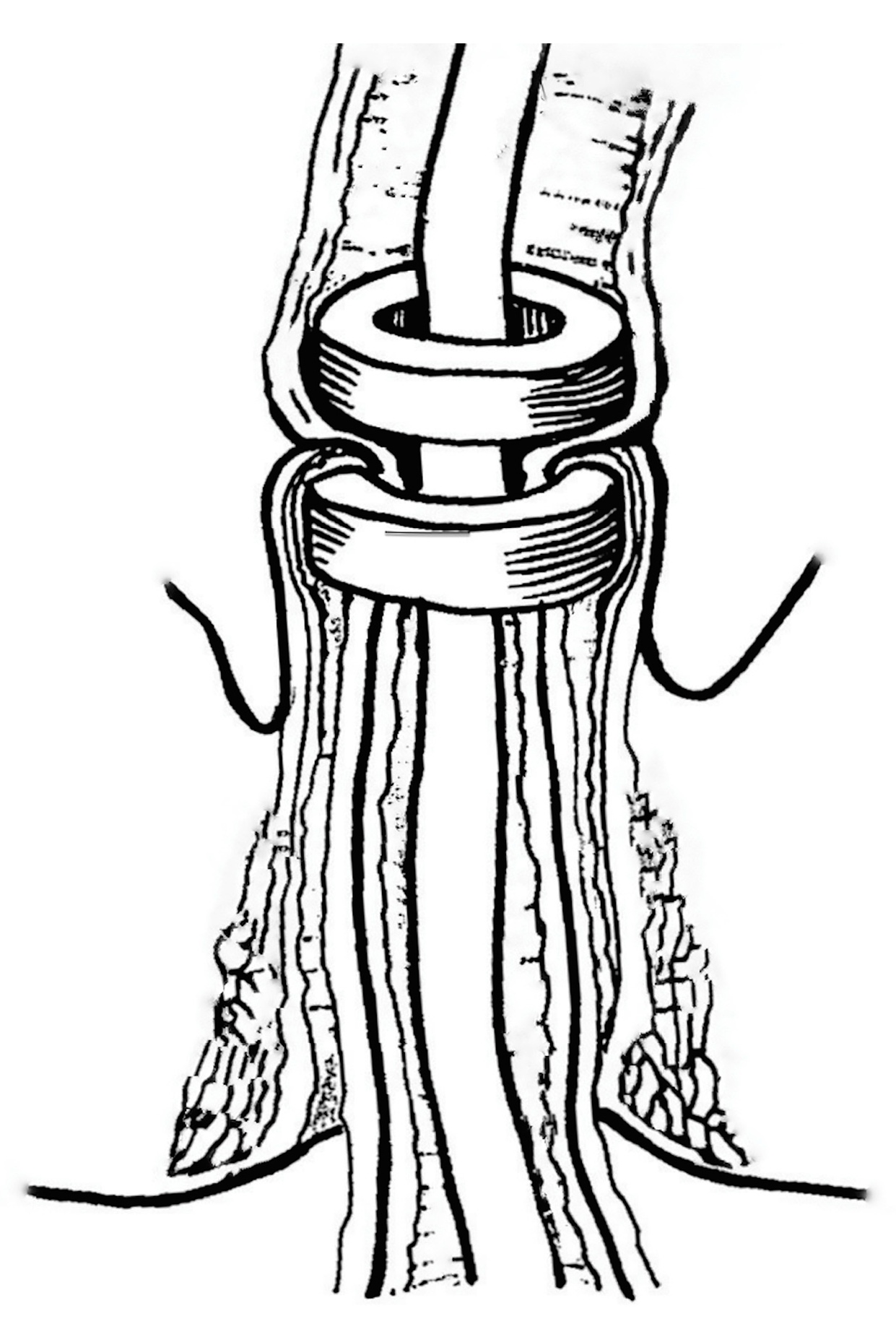 Children 10 01328 g005