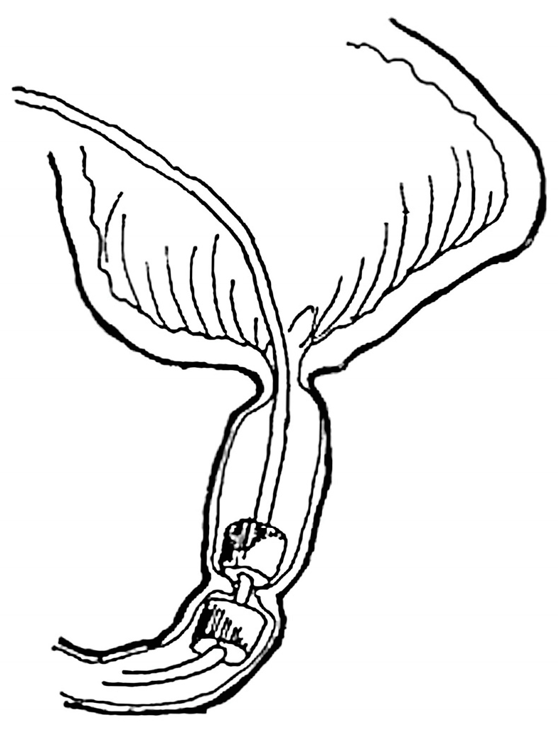 Children 10 01328 g006