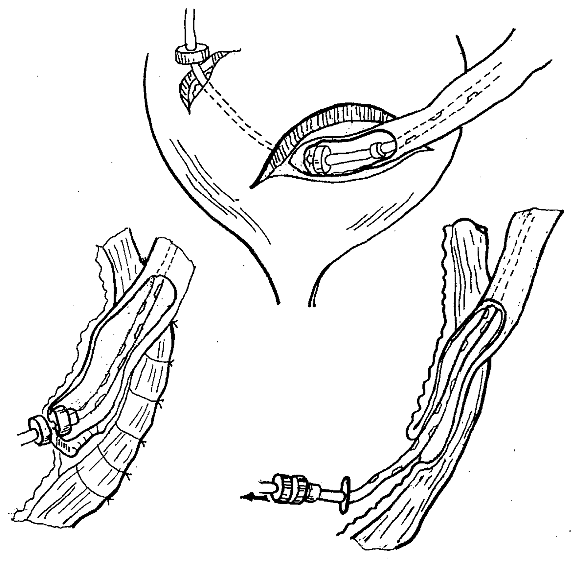 Children 10 01328 g007