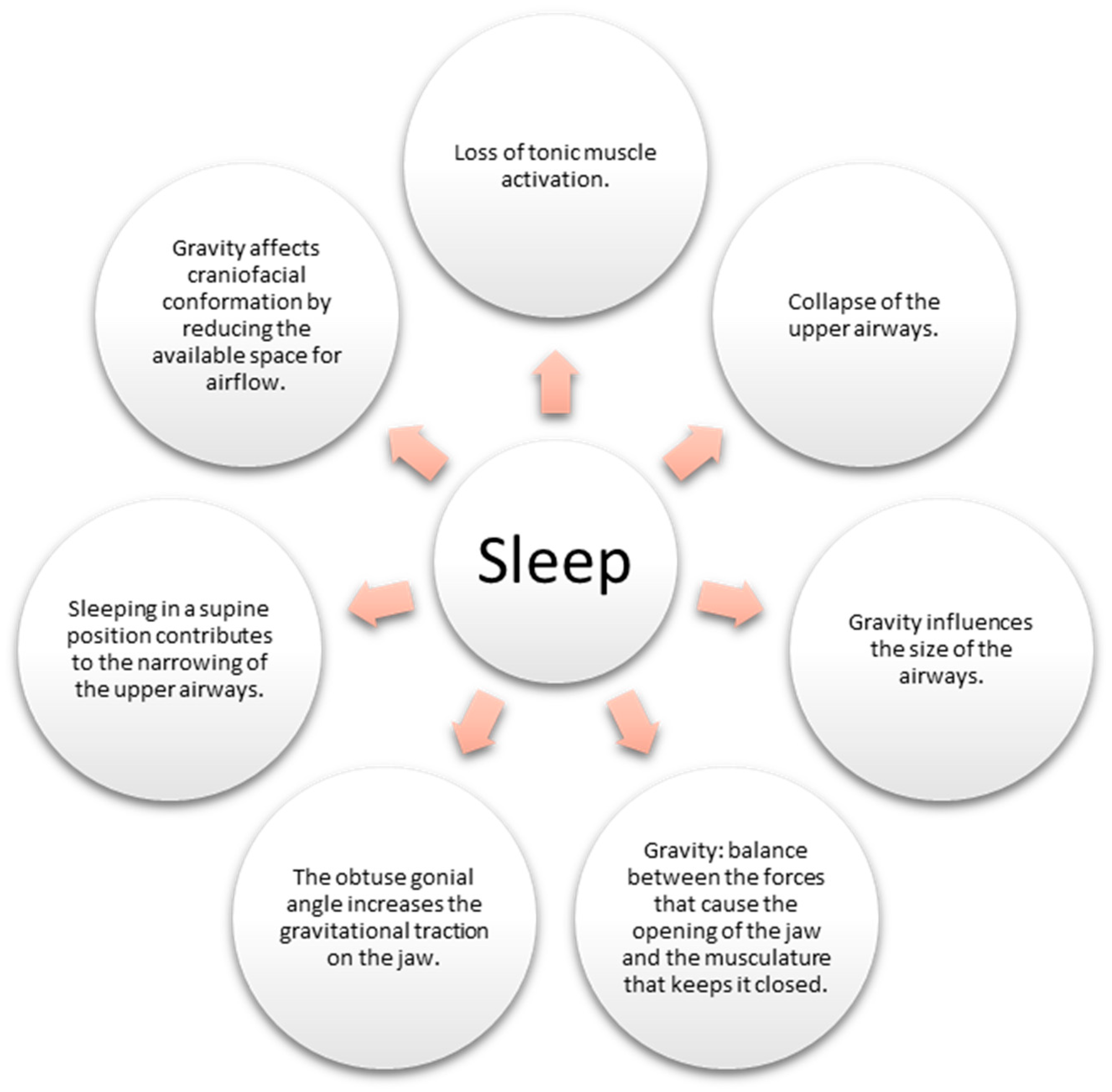 Children 10 01426 g004 Children 10 01426 g004