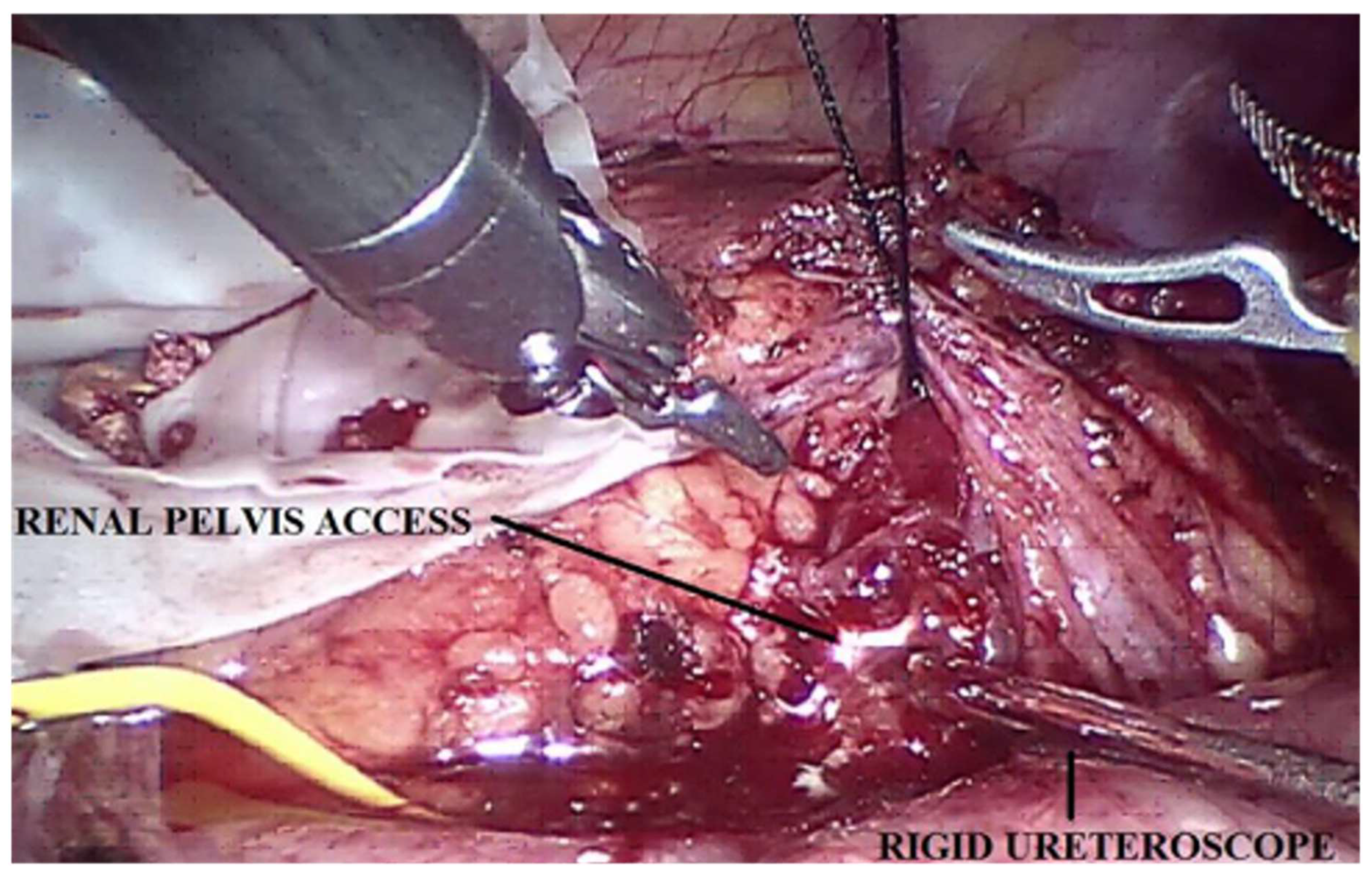 Children 10 01448 g002