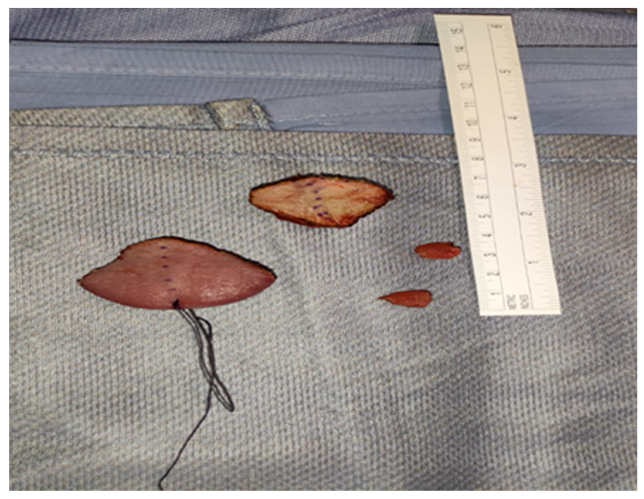 Children 10 01467 g004