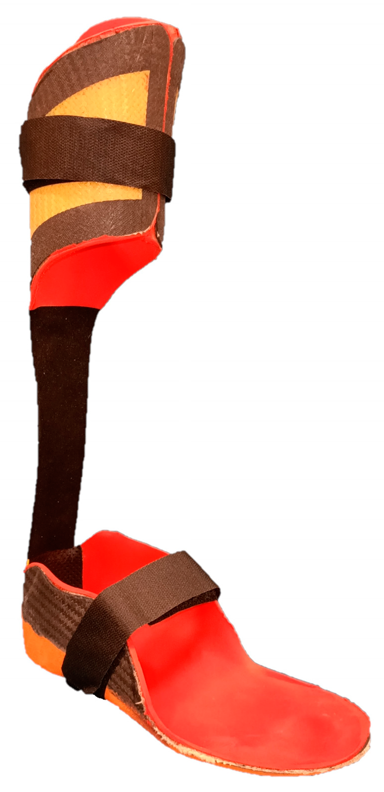 Children 10 01529 g001