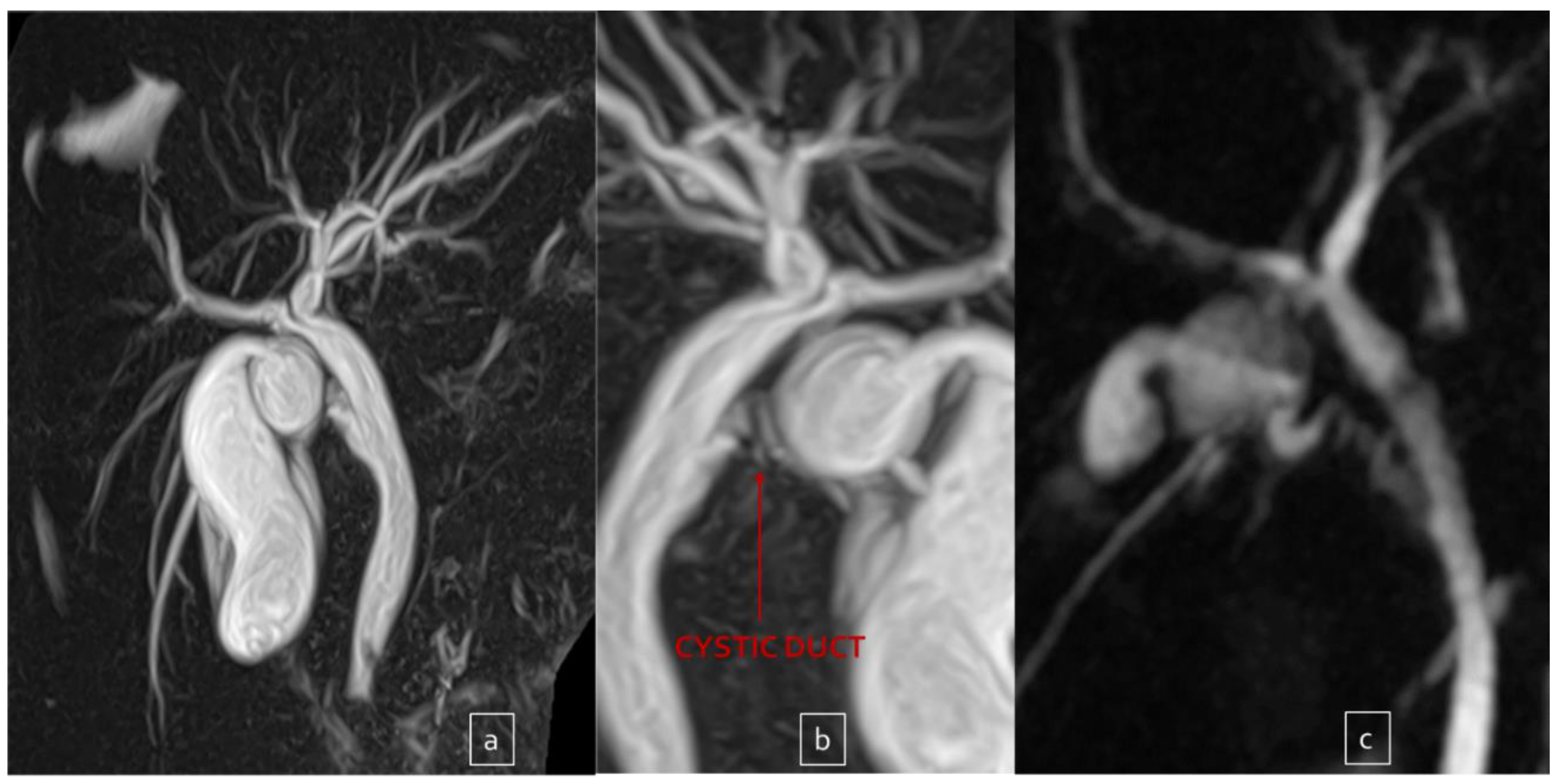 Children 10 01544 g001