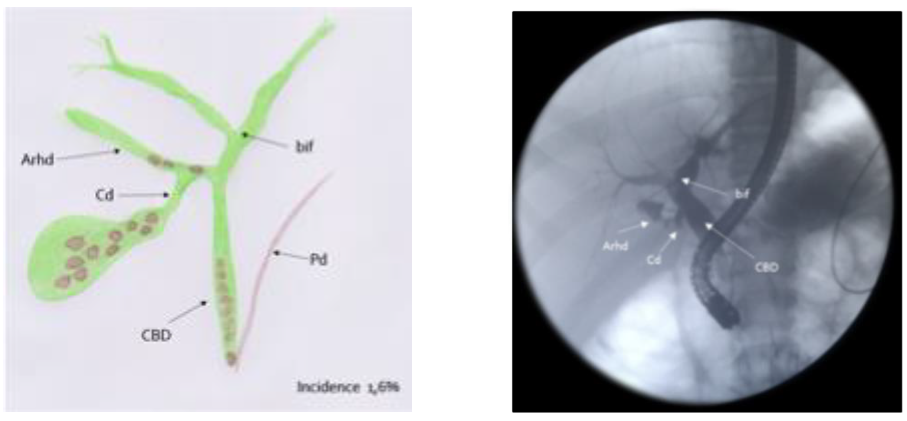 Children 10 01544 g003