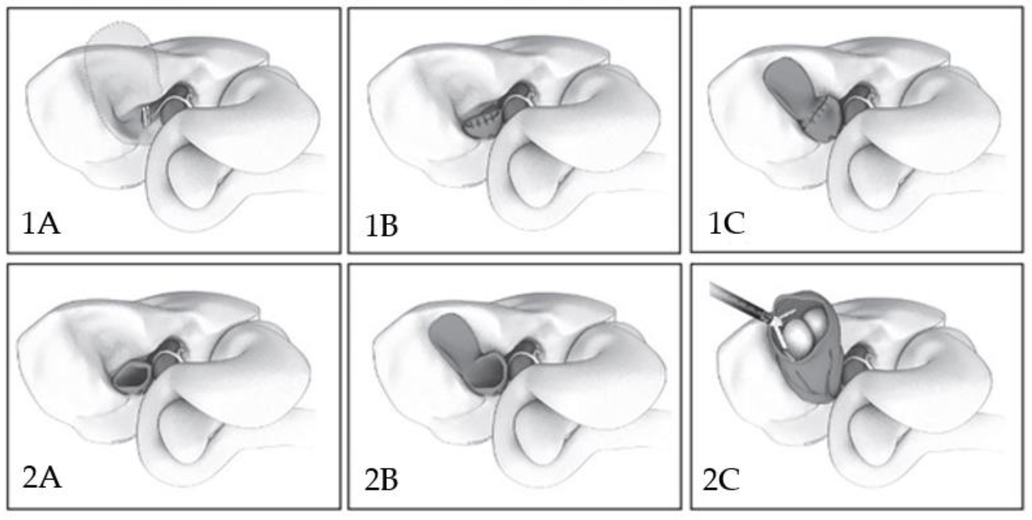 Children 10 01544 g004