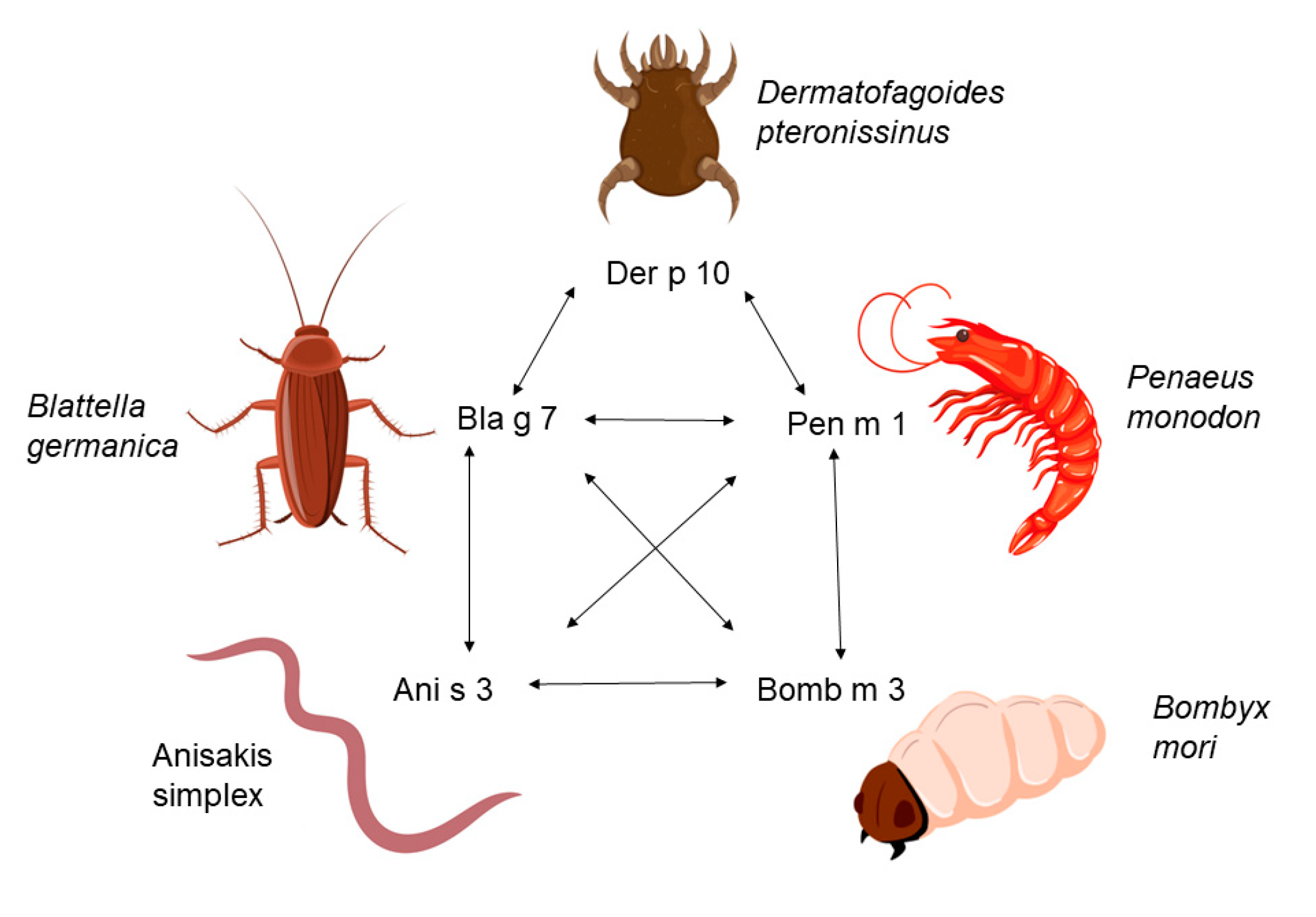 Children 10 01583 g001