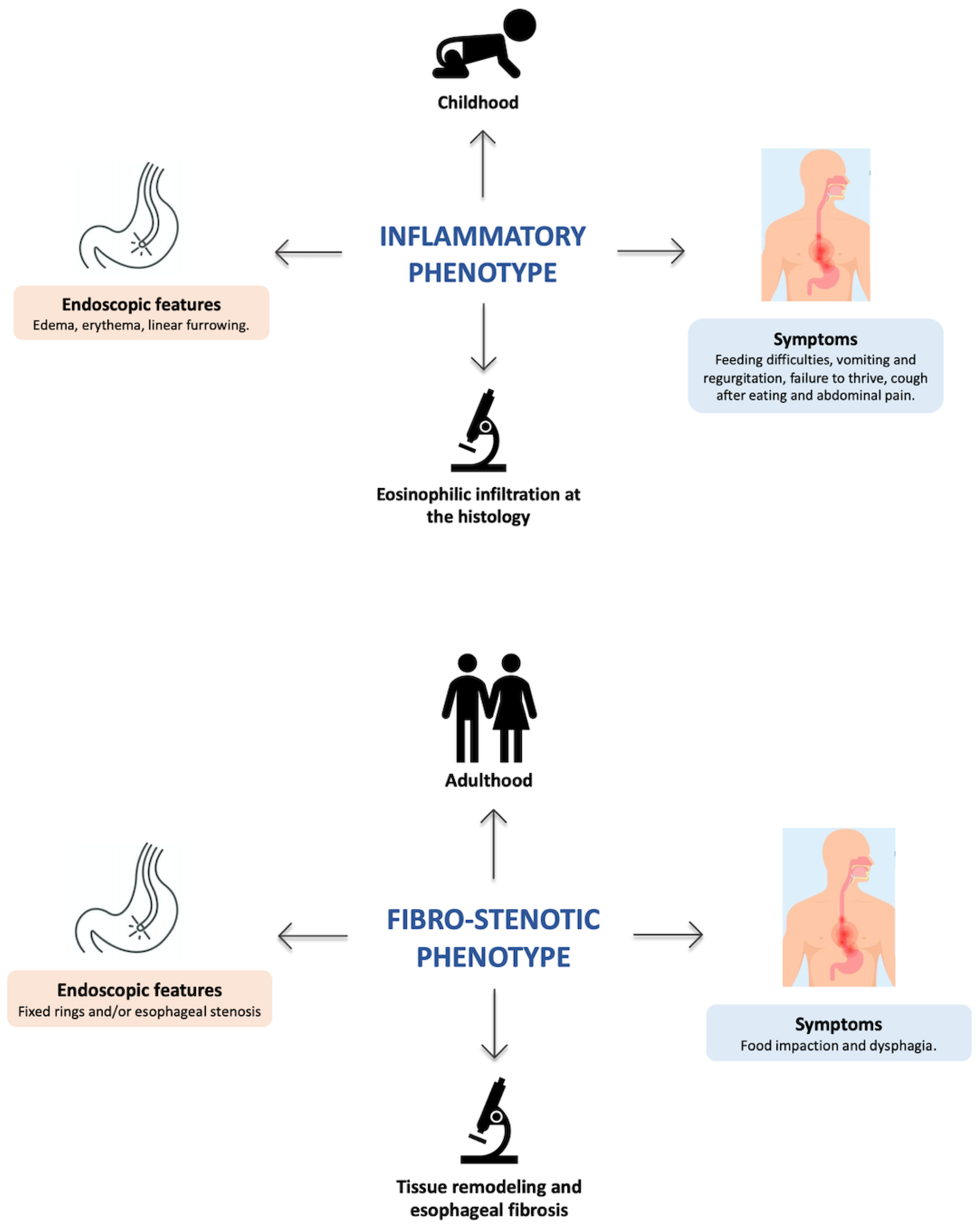 Children 10 01620 g001