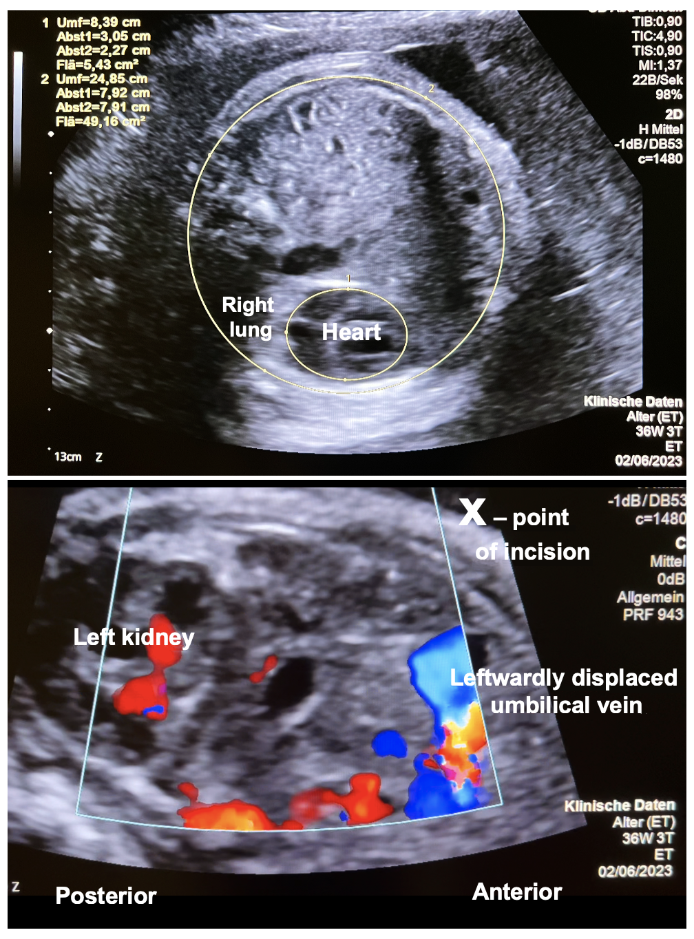 Children 10 01758 g001