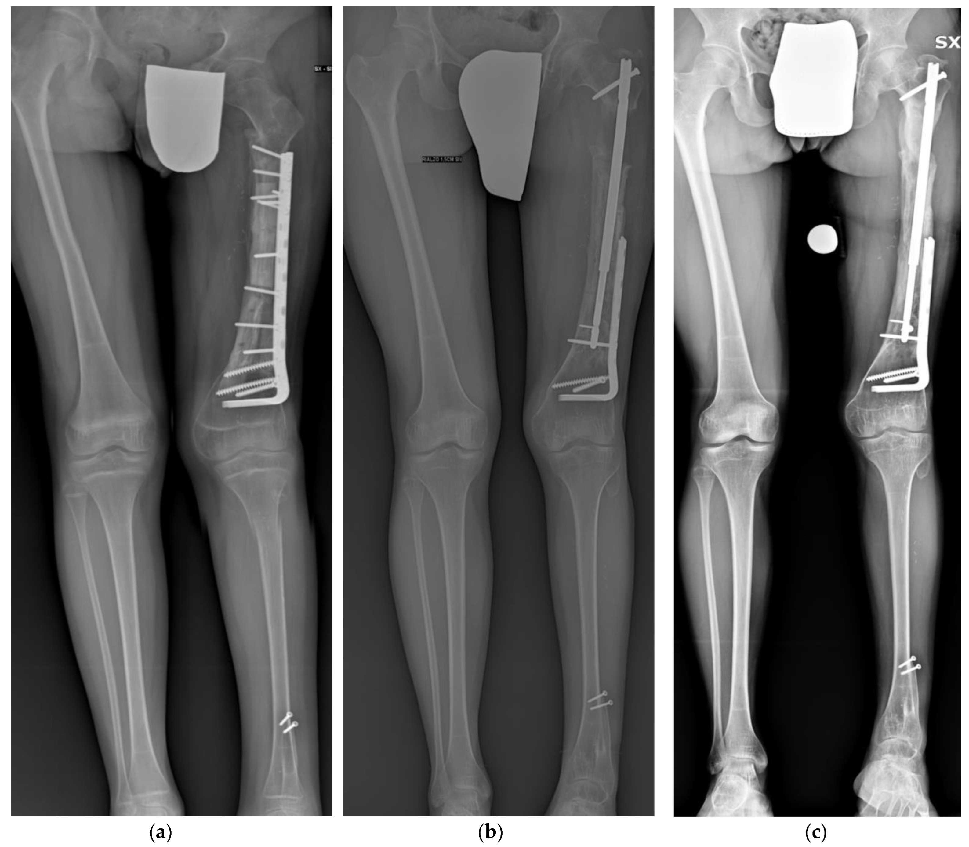 Children 10 01772 g001