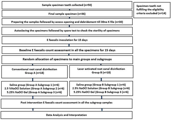 Children 10 01887 g001