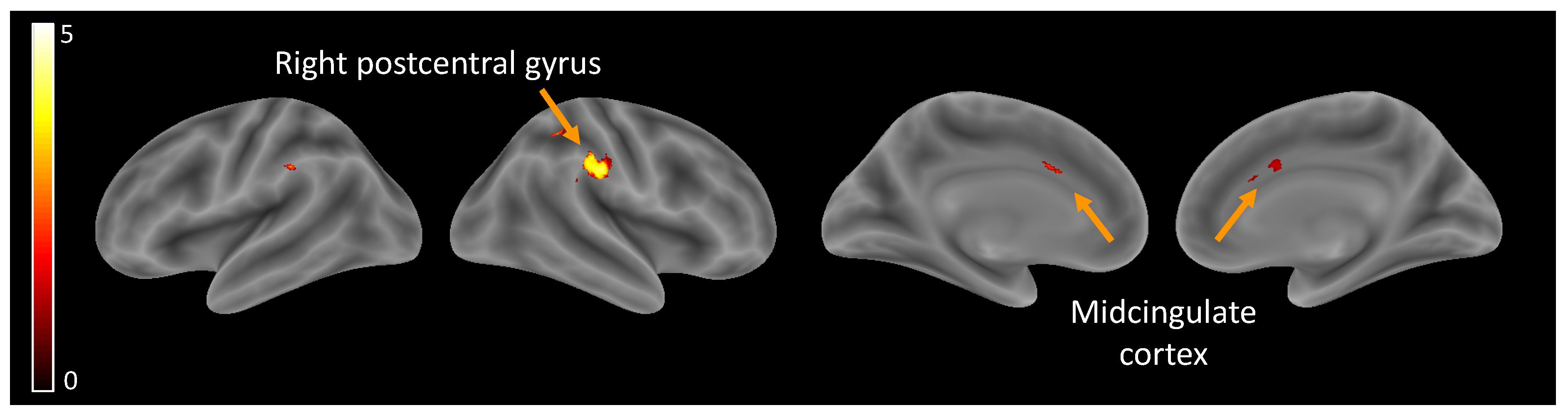 Children 10 01914 g002