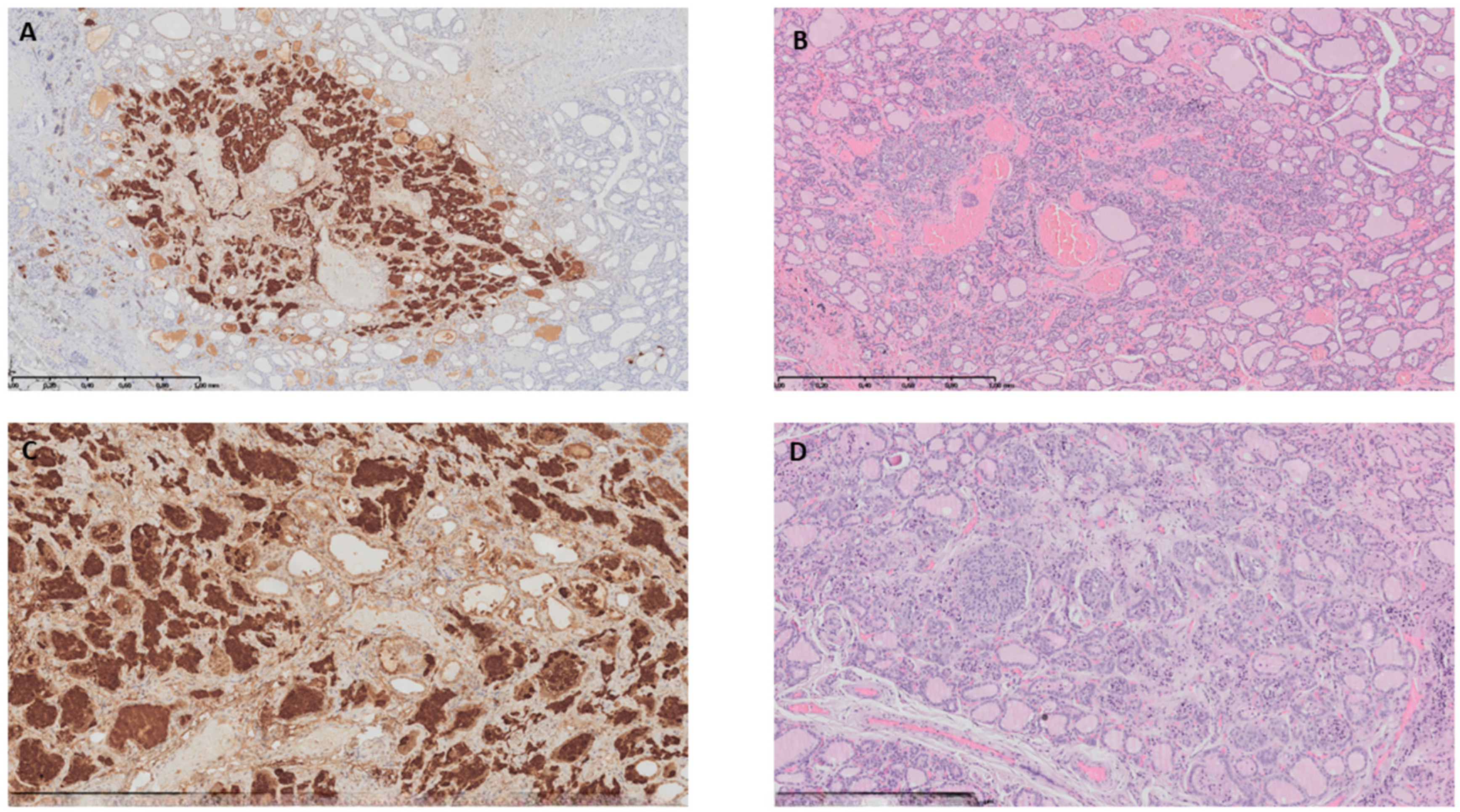 Children 10 01916 g002 Children 10 01916 g002