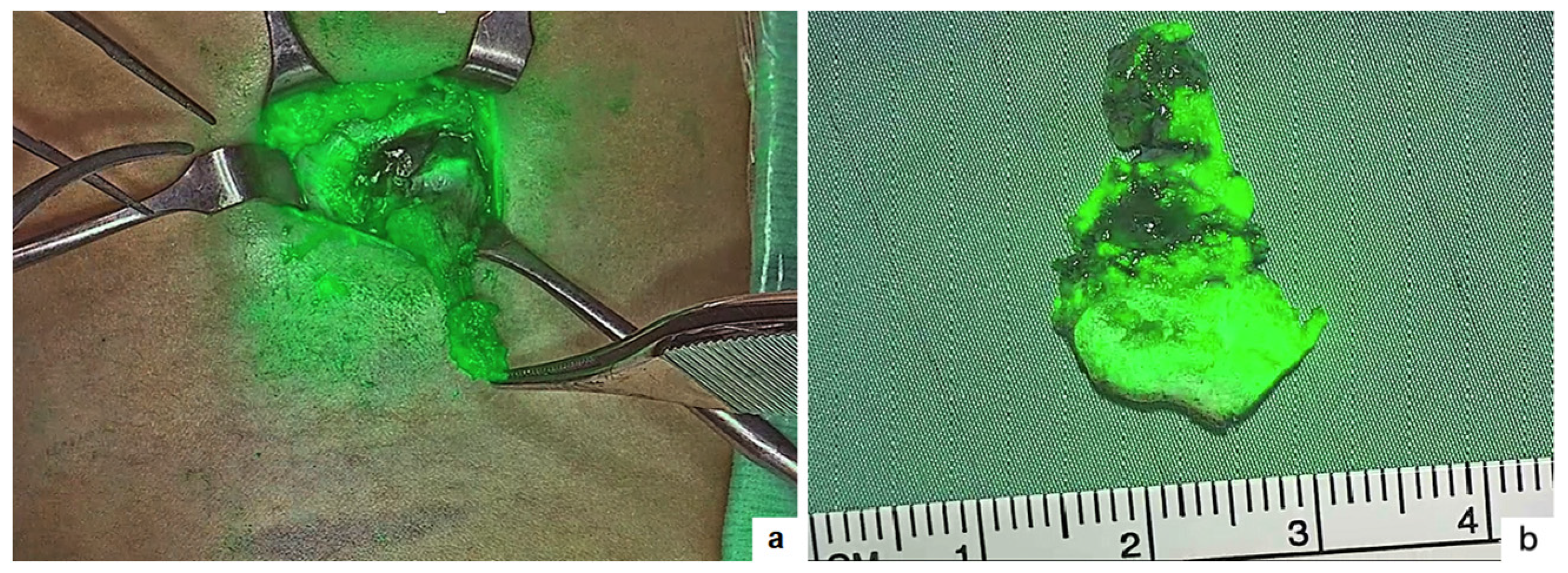 Children 11 00054 g002