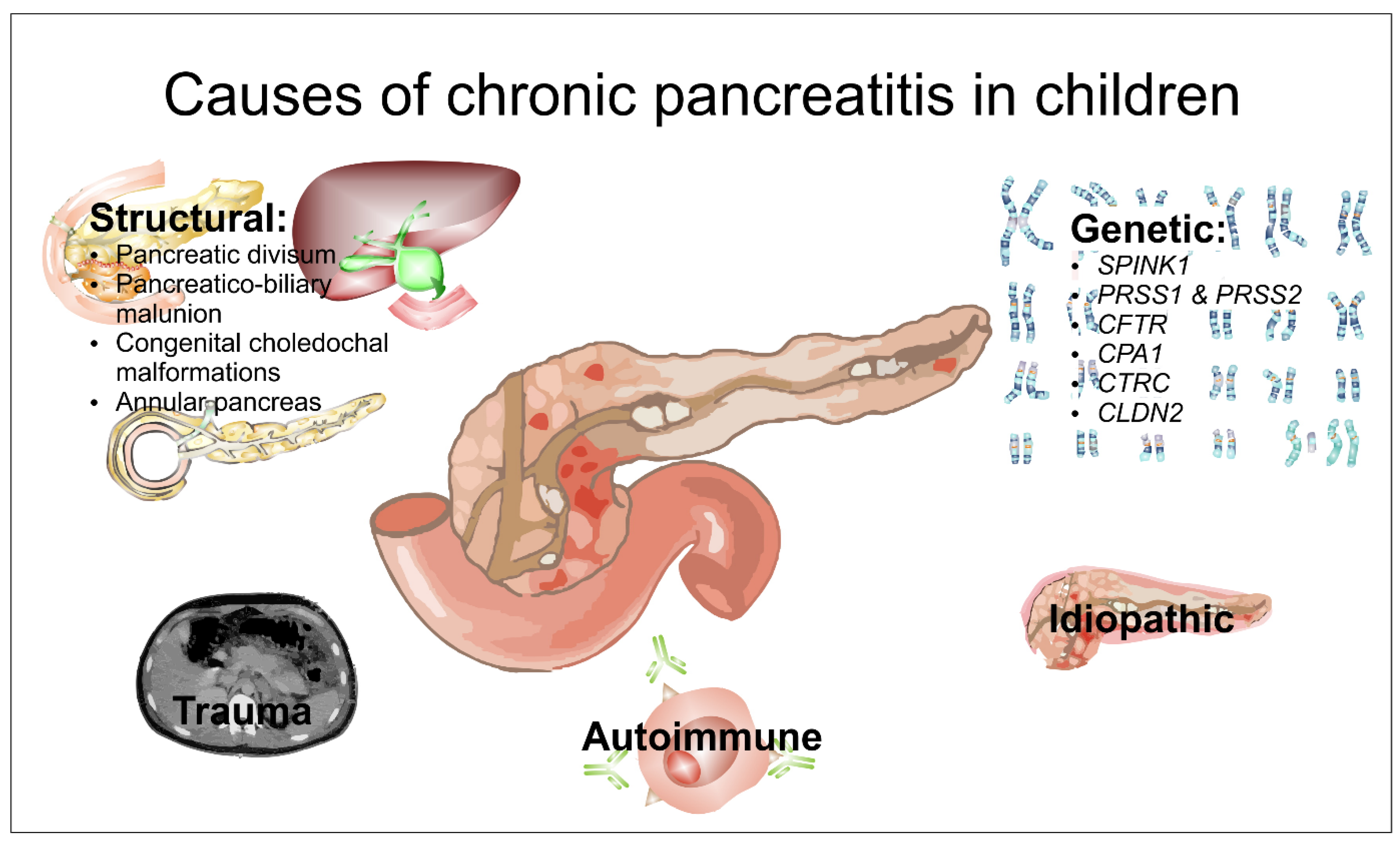 Children 11 00074 g002
