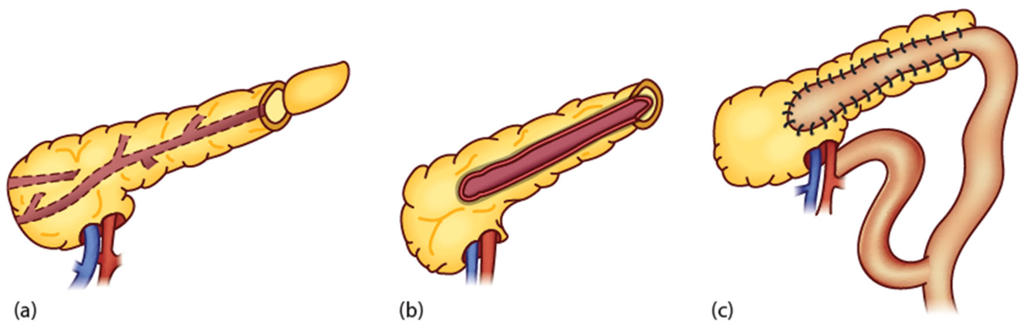 Children 11 00074 g003