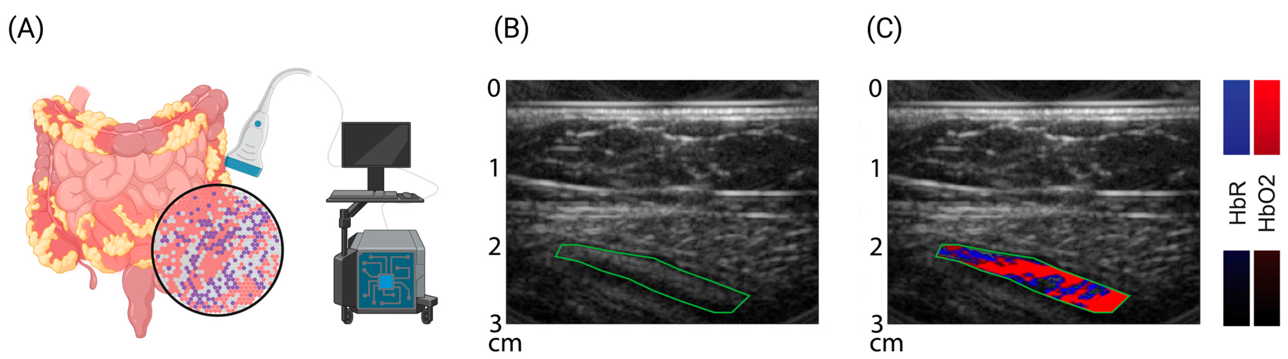 Children 11 00156 g002