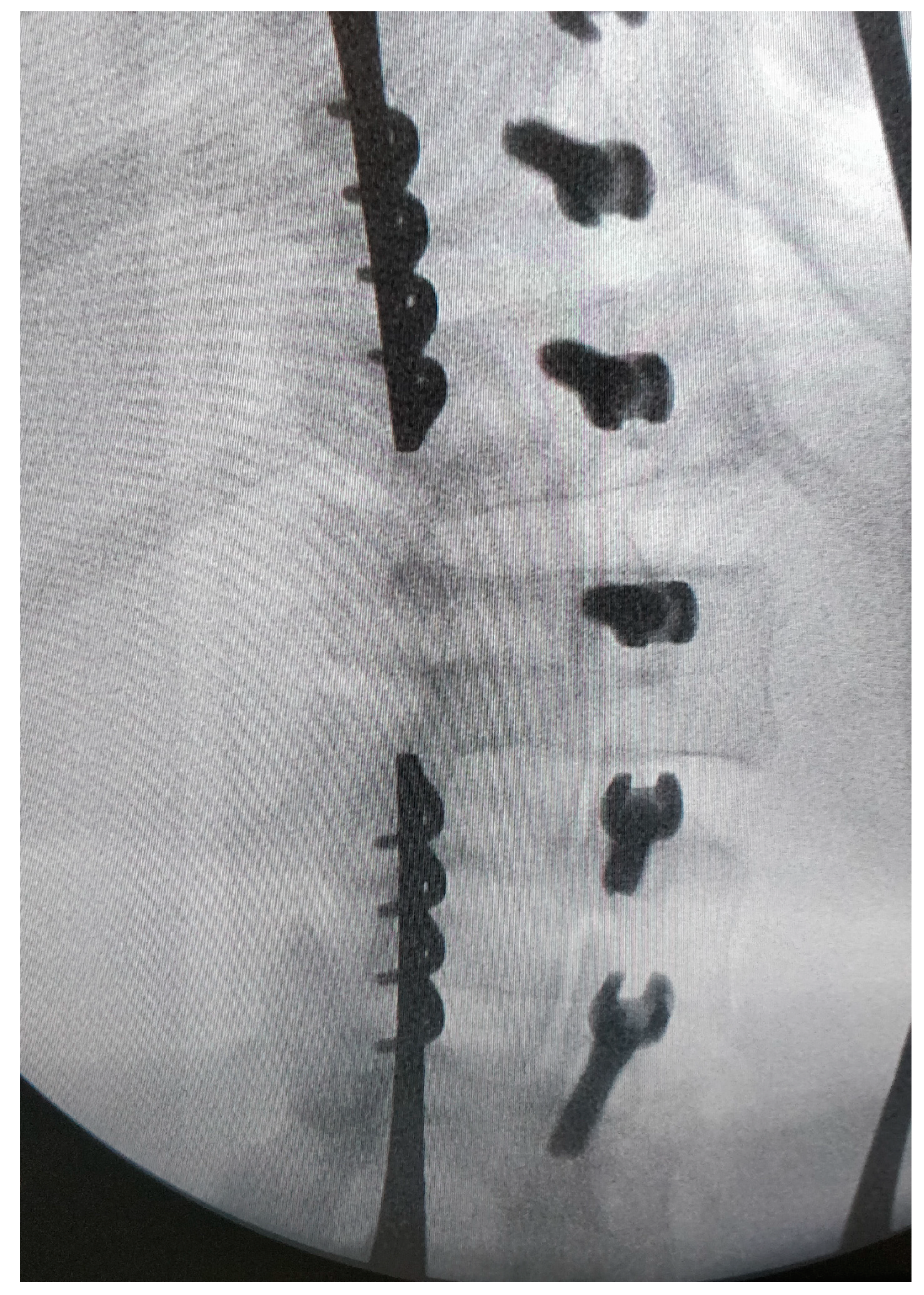 Children 11 00157 g005