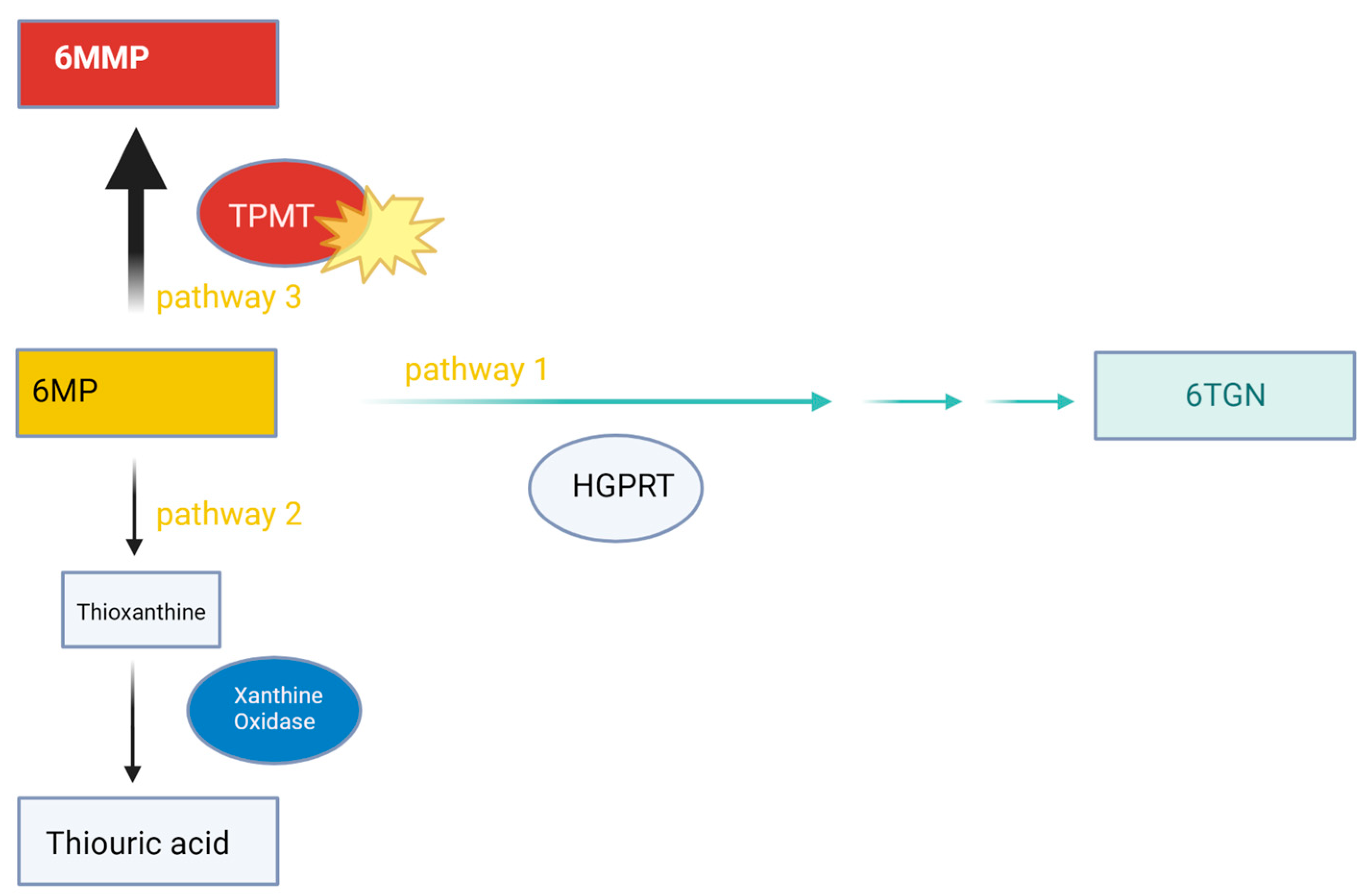 Children 11 00160 g001