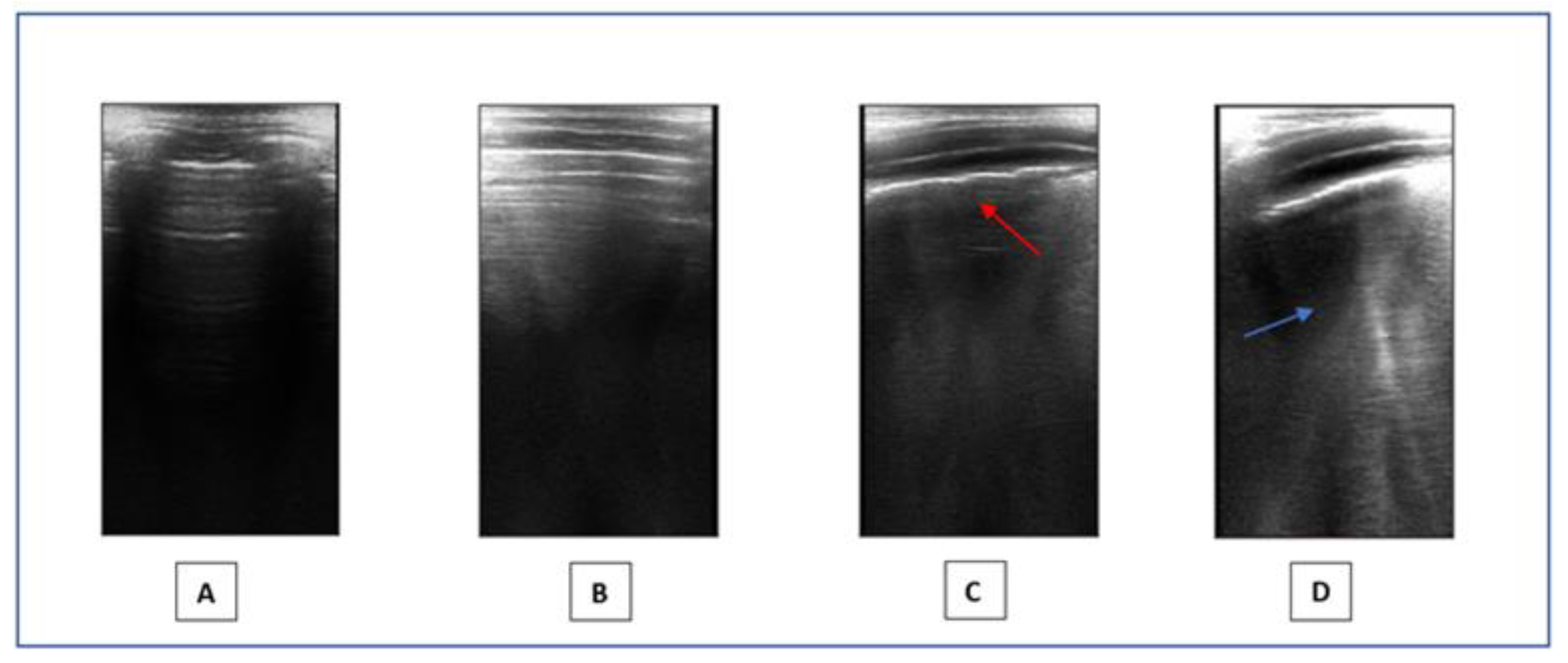 Children 11 00166 g001