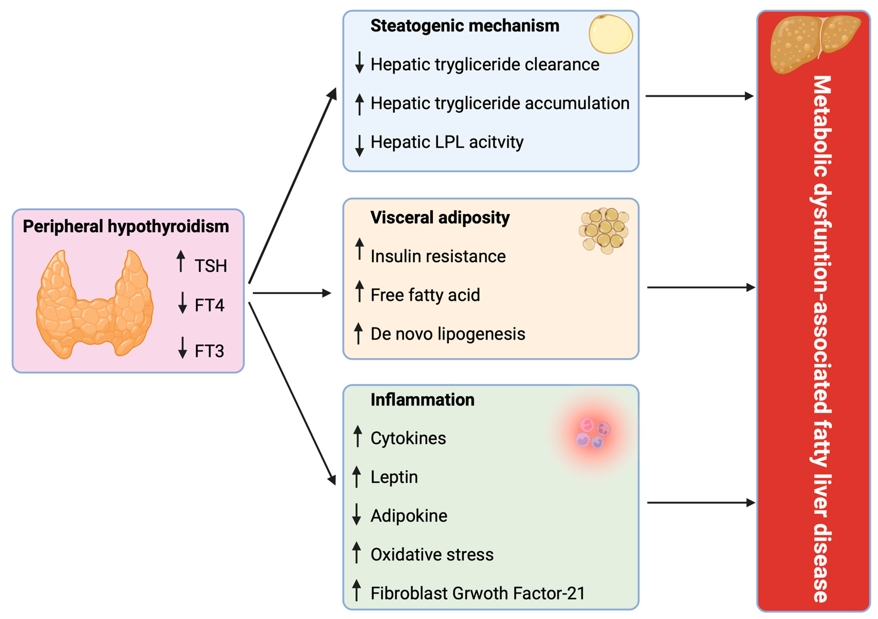 Children 11 00244 g002
