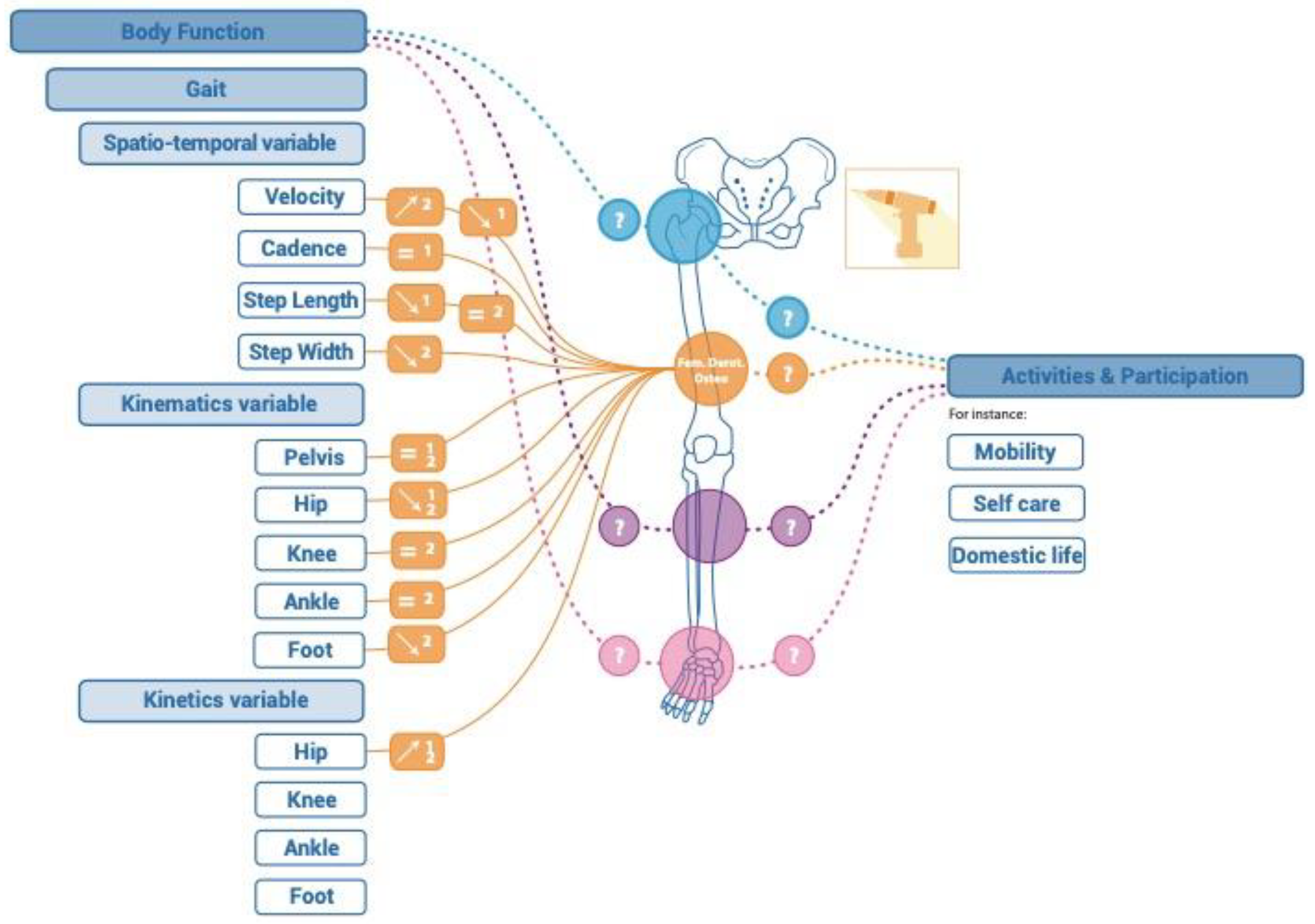 Children 11 00257 g003