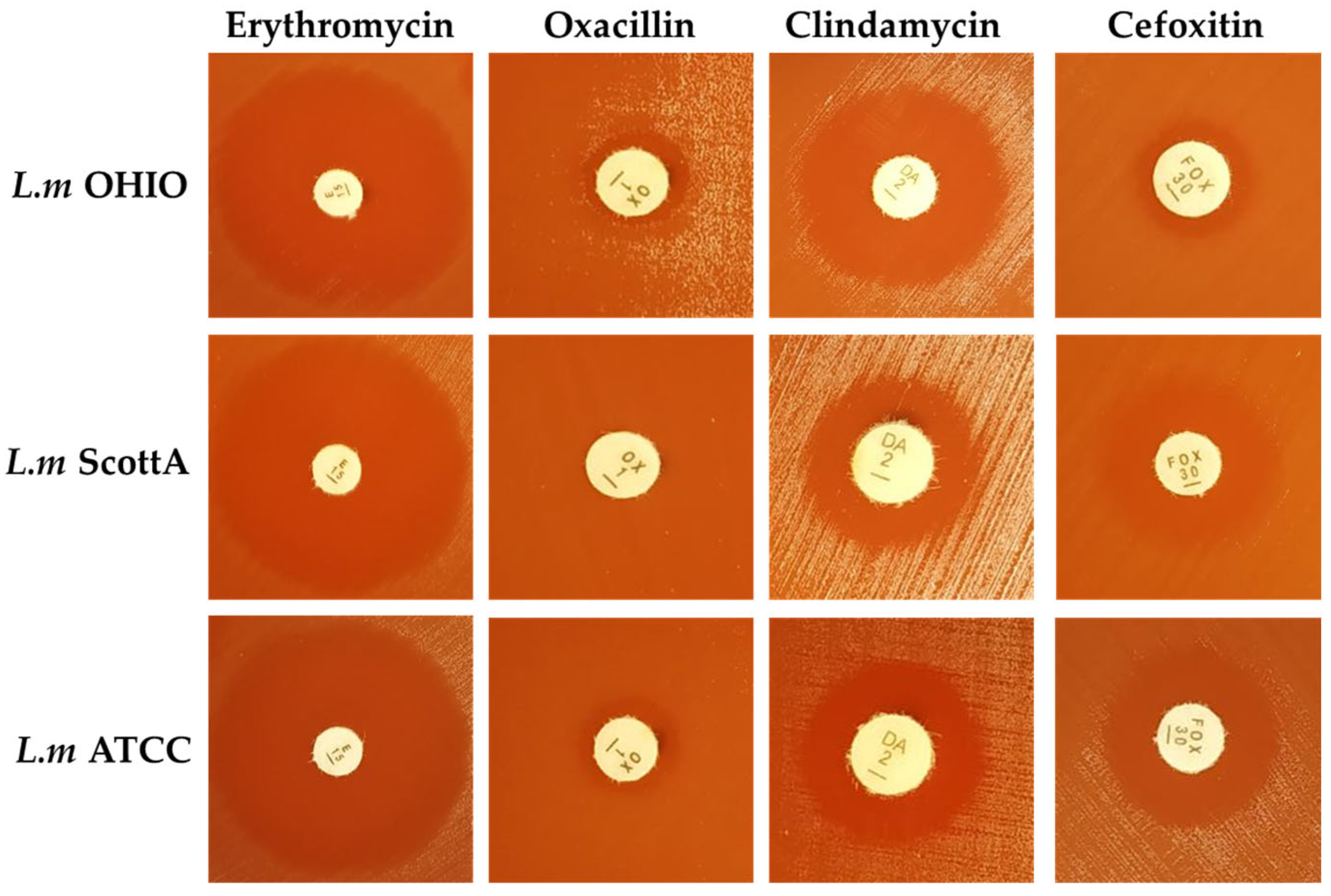 Children 11 00261 g001