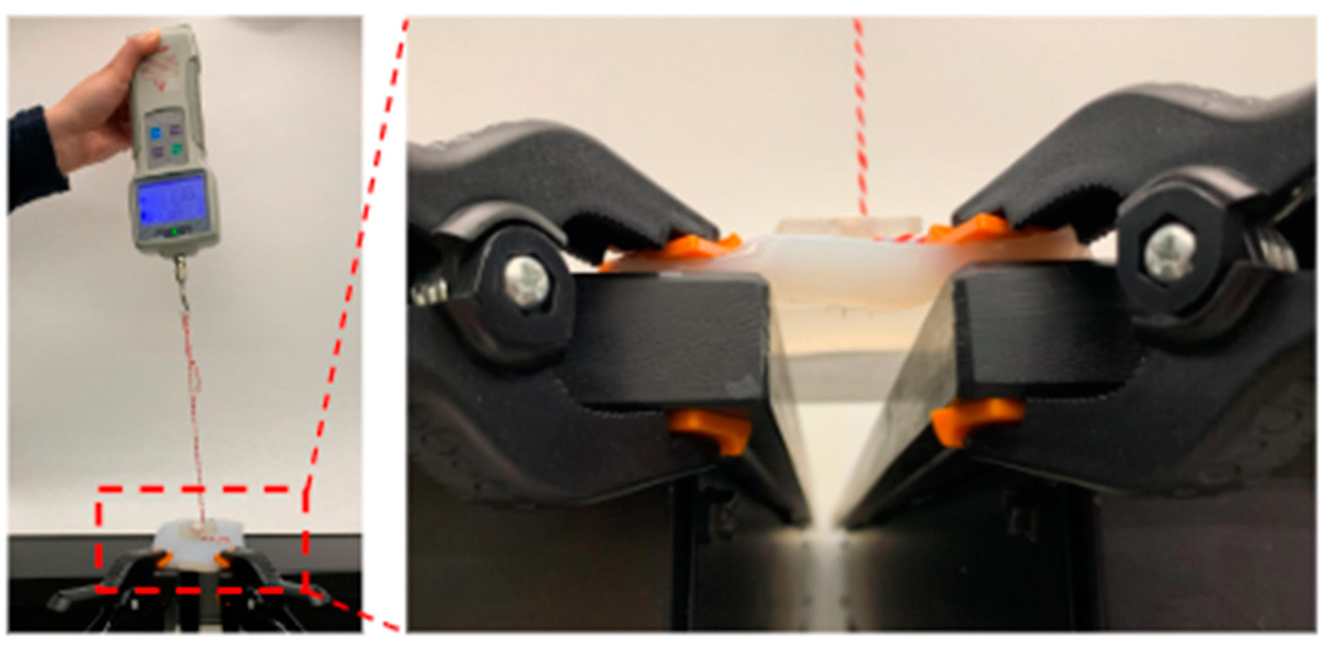 Children 11 00263 g002 Children 11 00263 g002