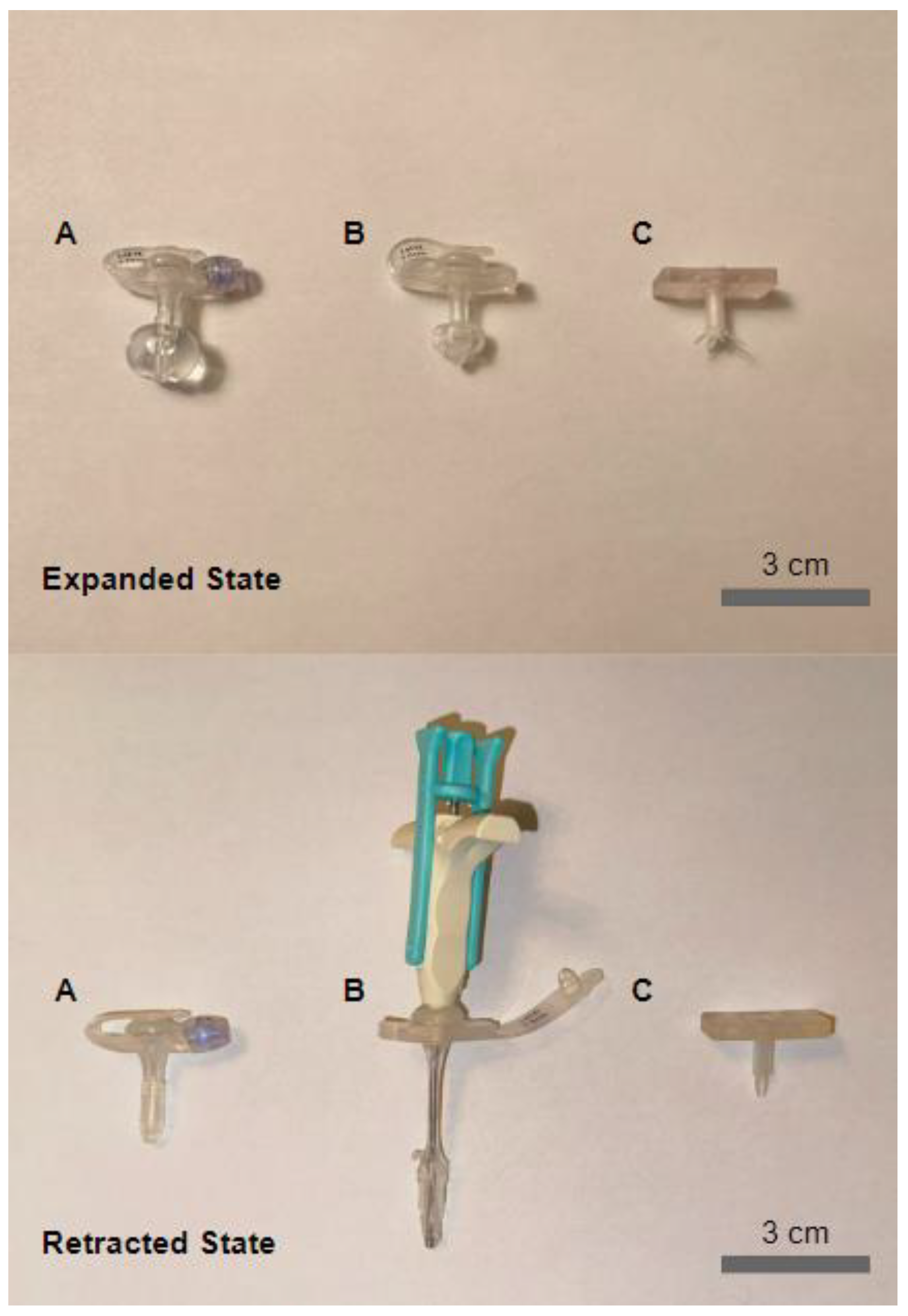 Children 11 00263 g003 Children 11 00263 g003