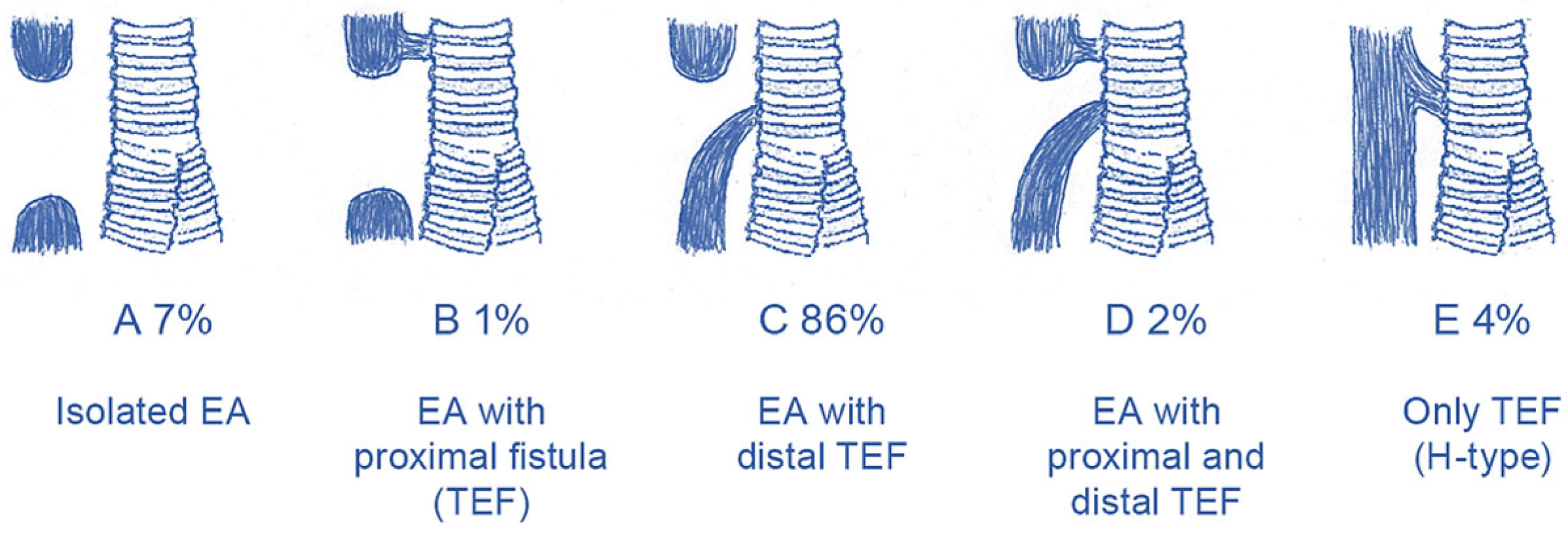 Children 11 00286 g001