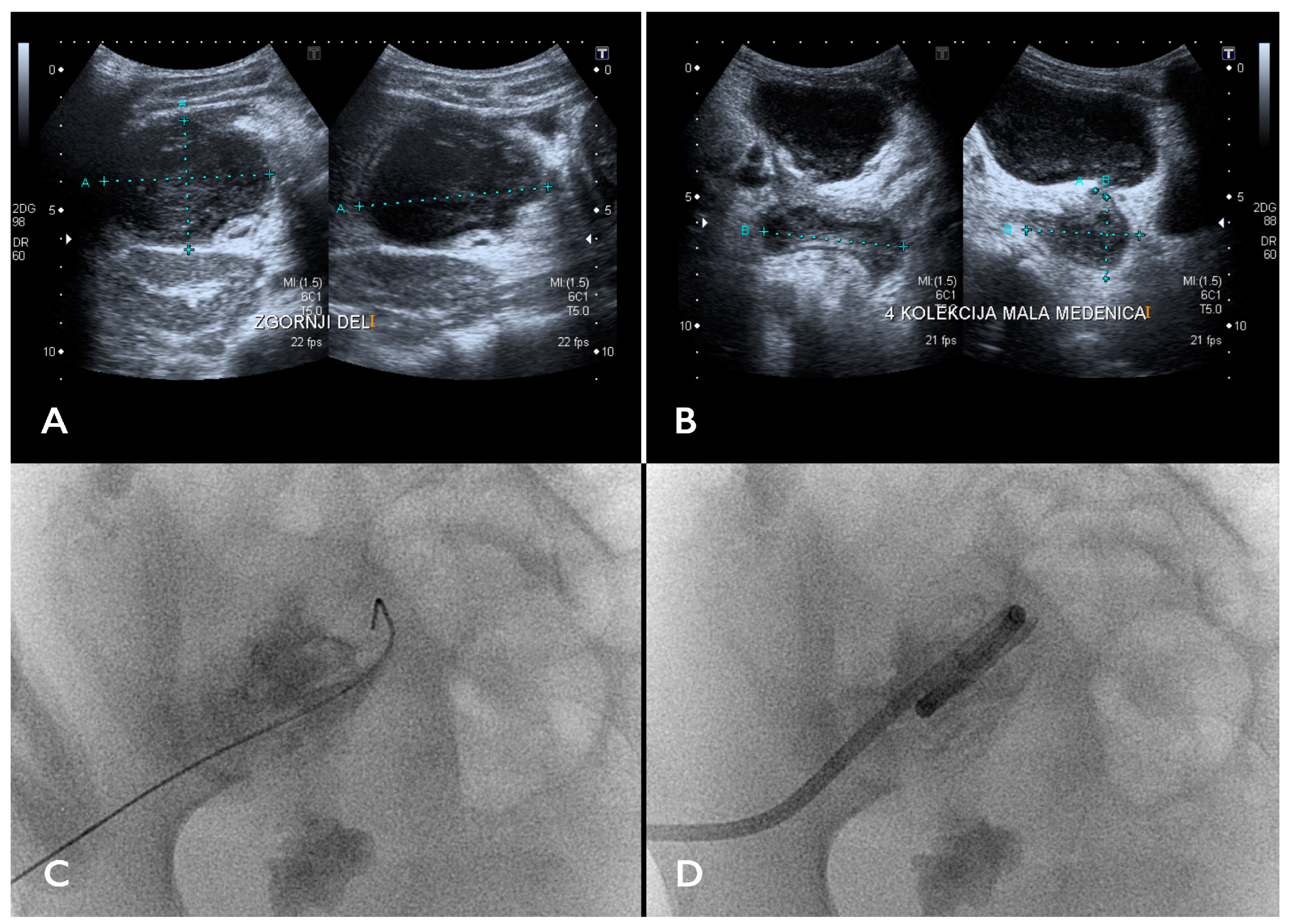 Children 11 00290 g001