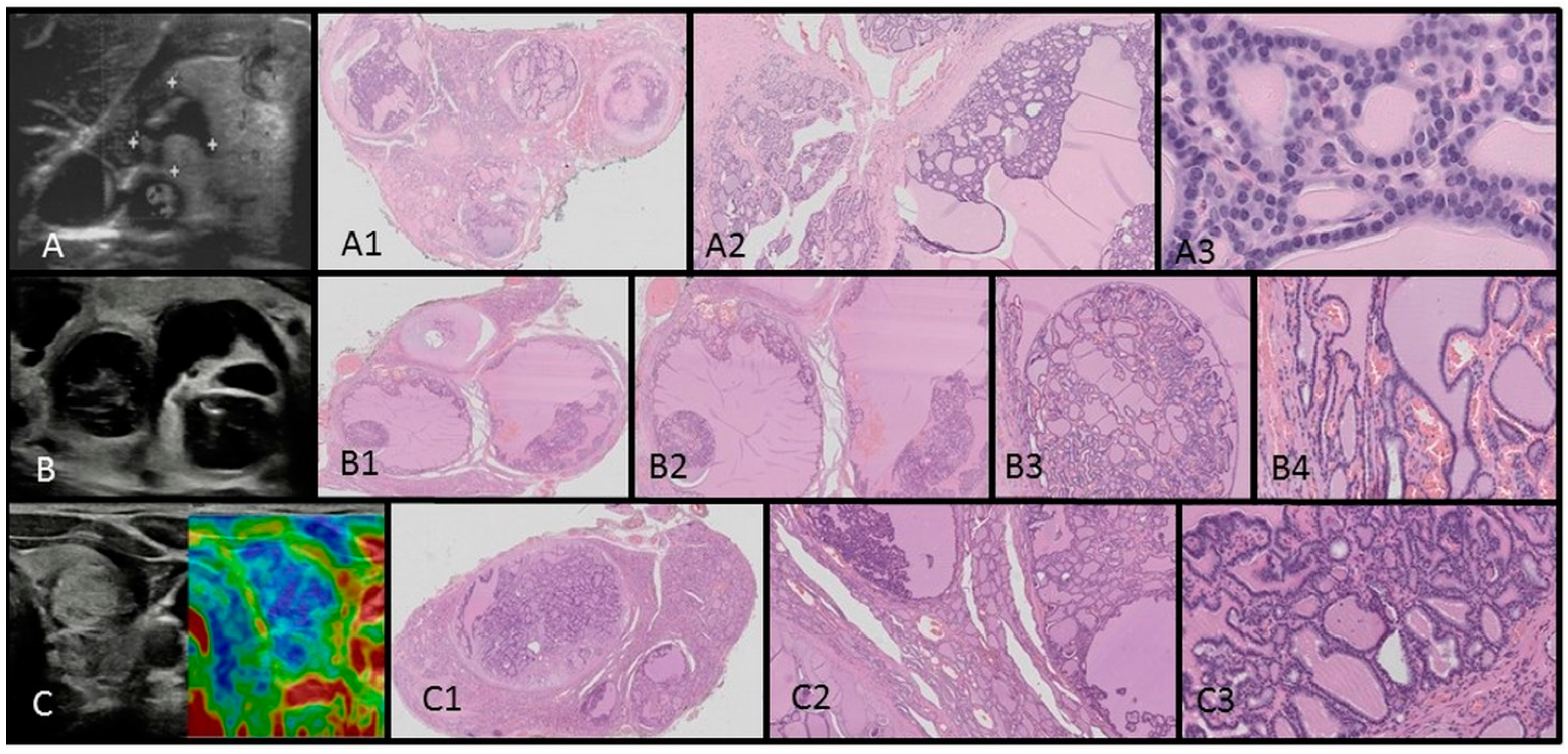 Children 11 00403 g003