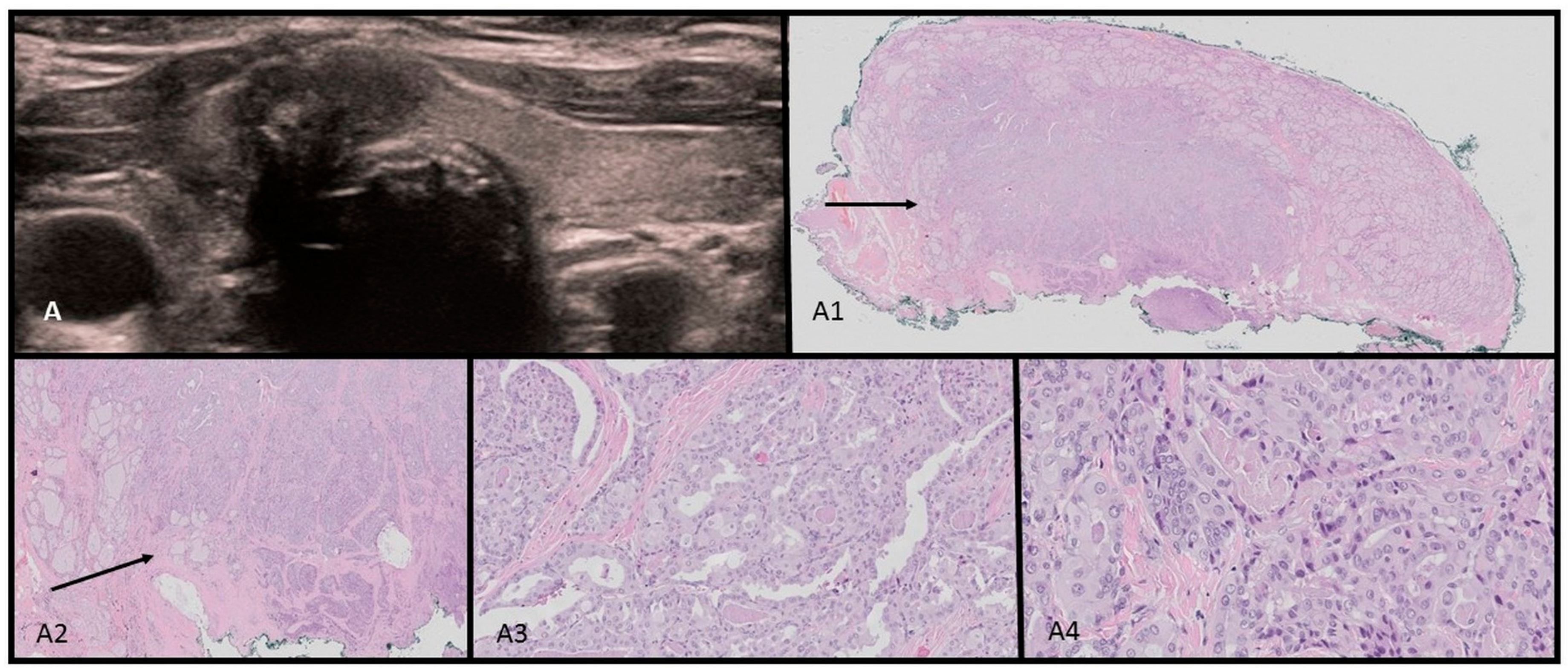 Children 11 00403 g005