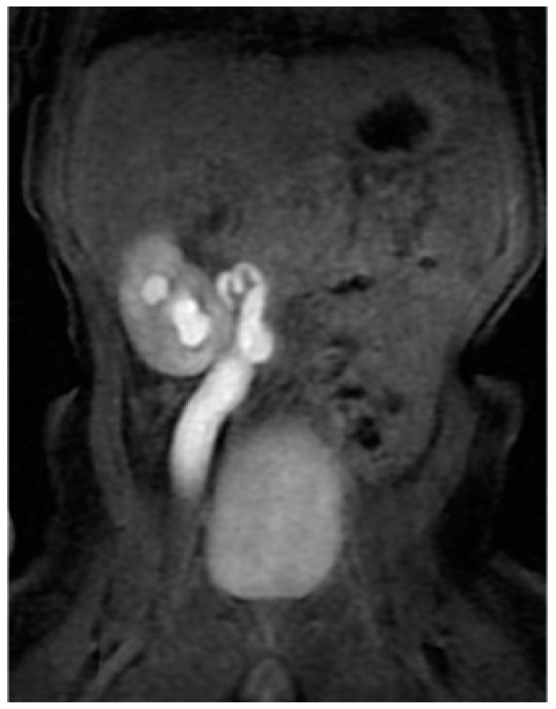 Children 11 00407 g003